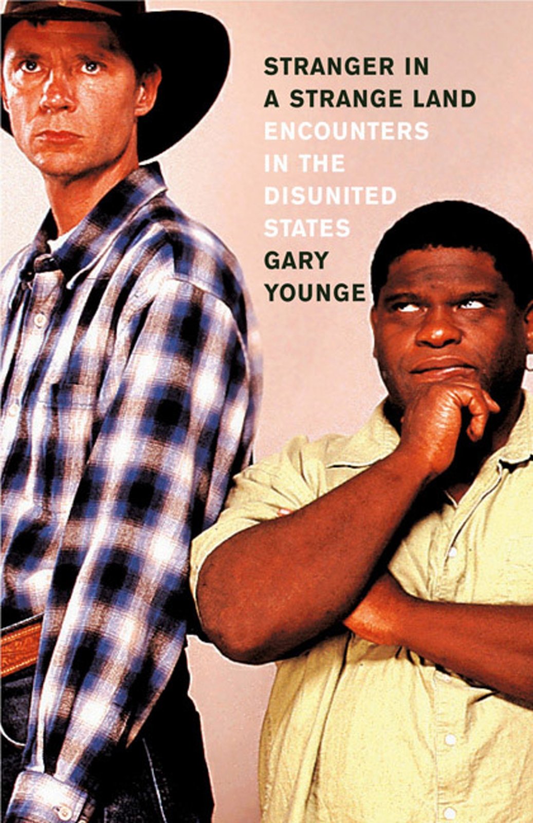 Stranger in a Strange Land: Encounters in the Disunited States book