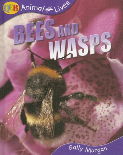 Bees and Wasps (Qeb Animal Lives) Non-fiction