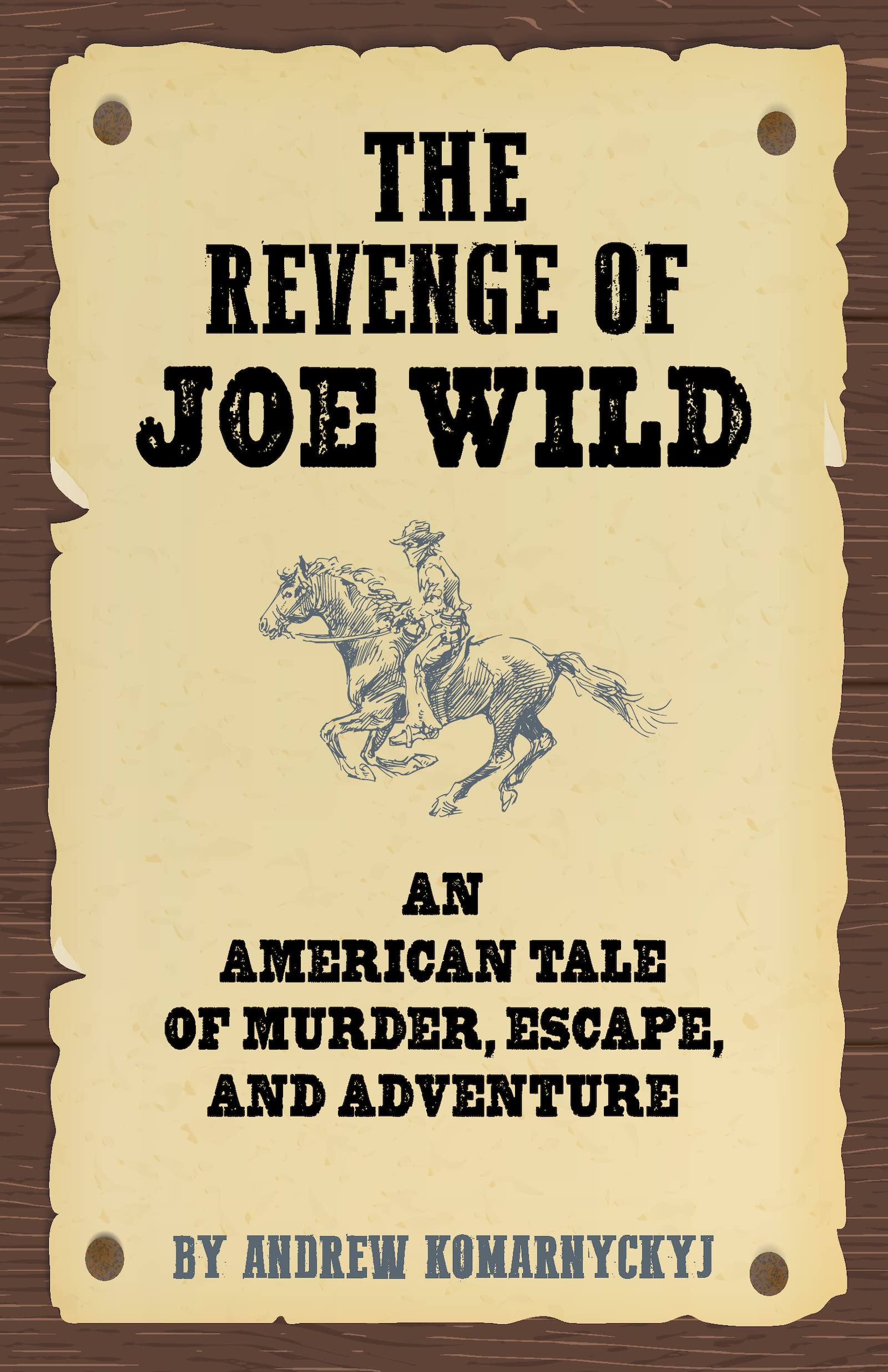 The Revenge of Joe Wild book