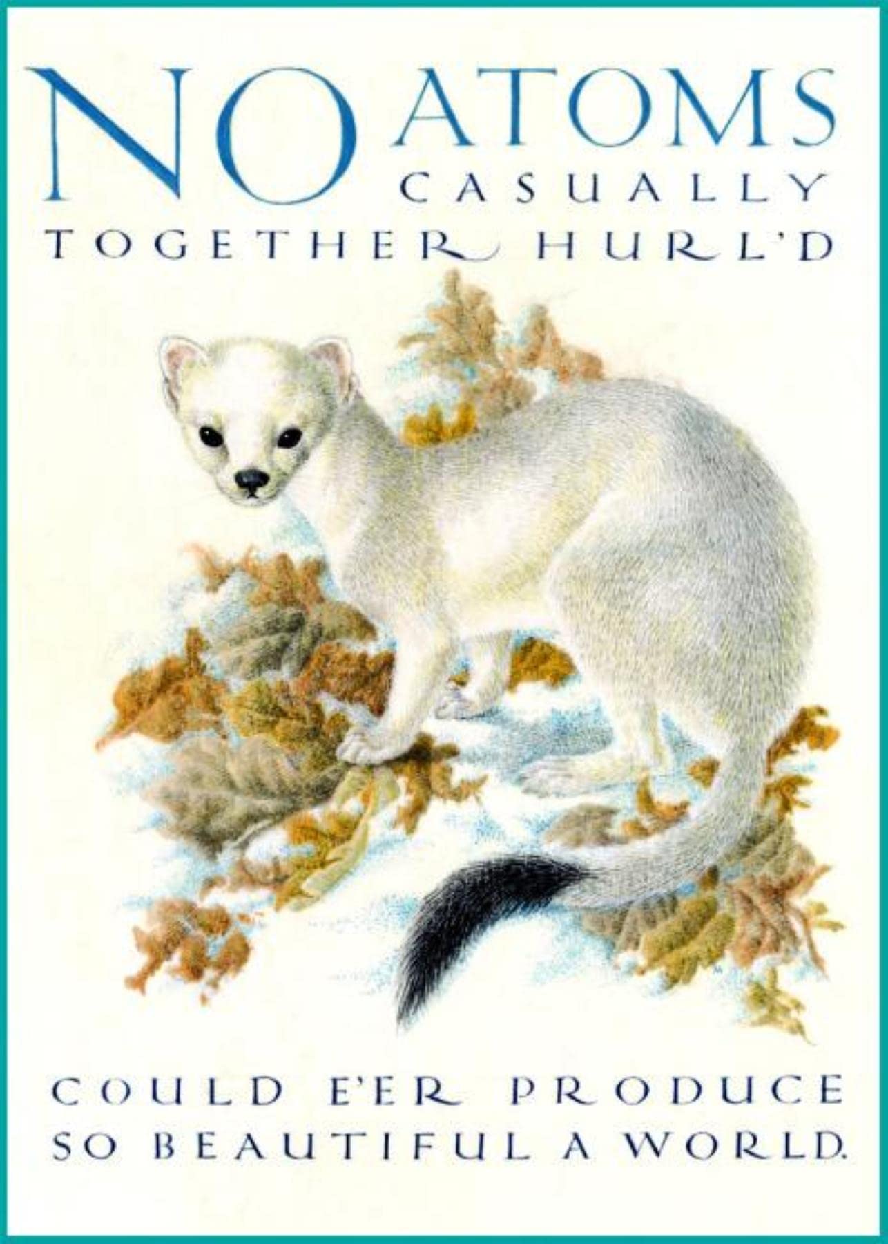 Marie Angel Ermine Inspirational Greeting Card: 6 Cards Individually Bagged With Envelopes & Header Books