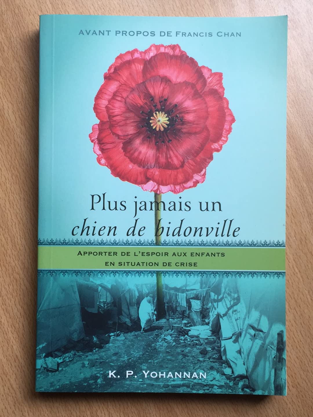 Plus Jamais un Chien de Bidonville : Apporter de l Books