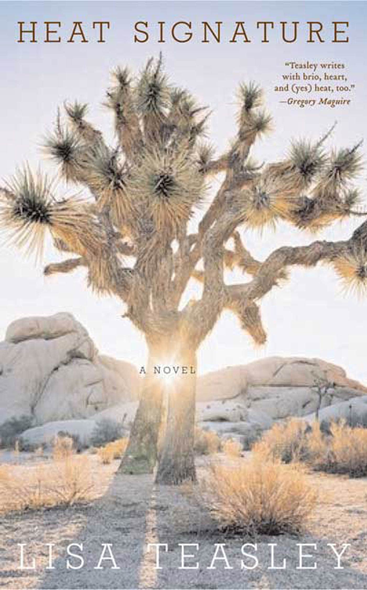 Heat Signature: A Novel Essays & Short Stories