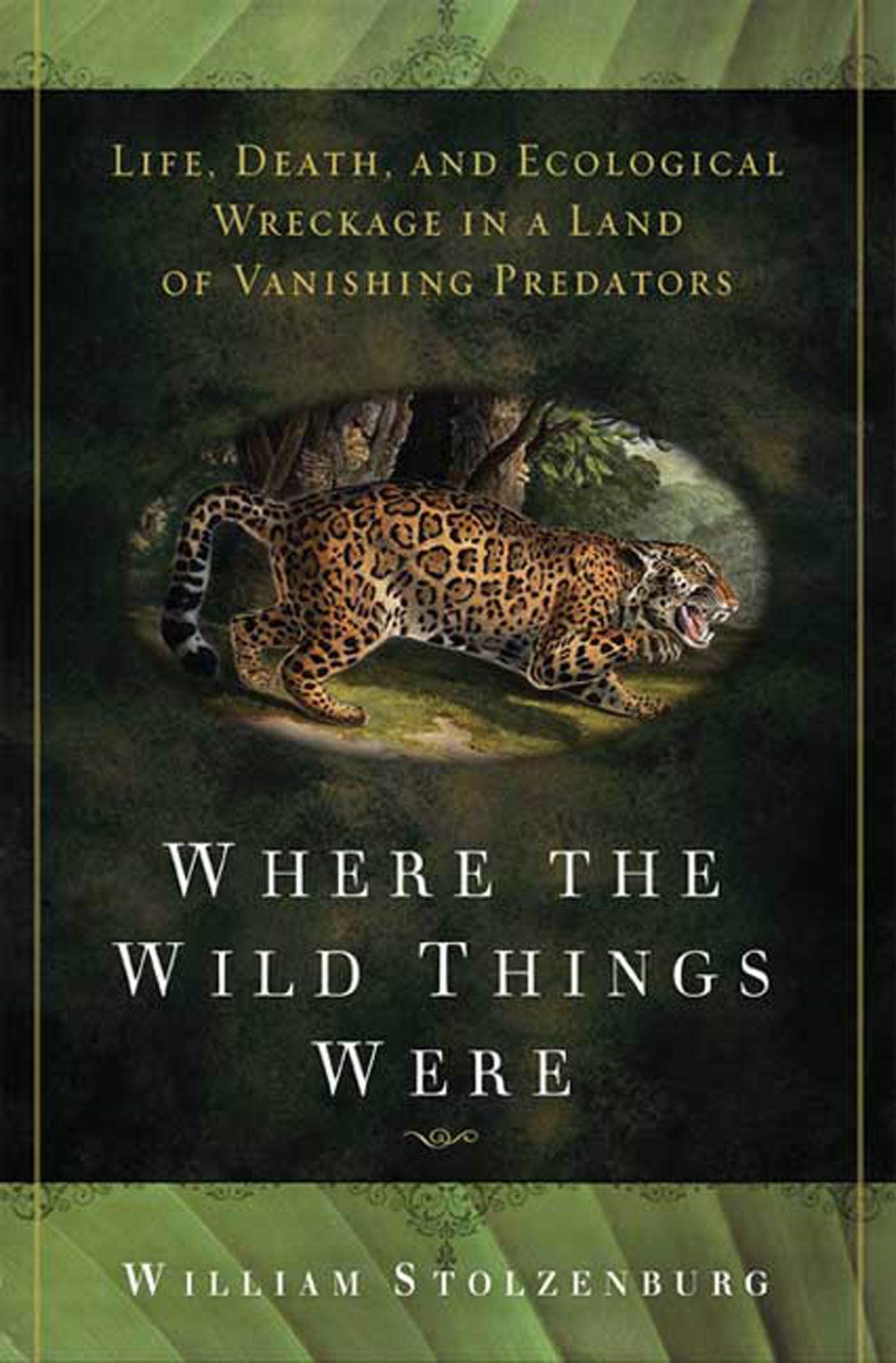 Where the Wild Things Were: Life, Death, and Ecological Wreckage in a Land of Vanishing Predators Business & Technology