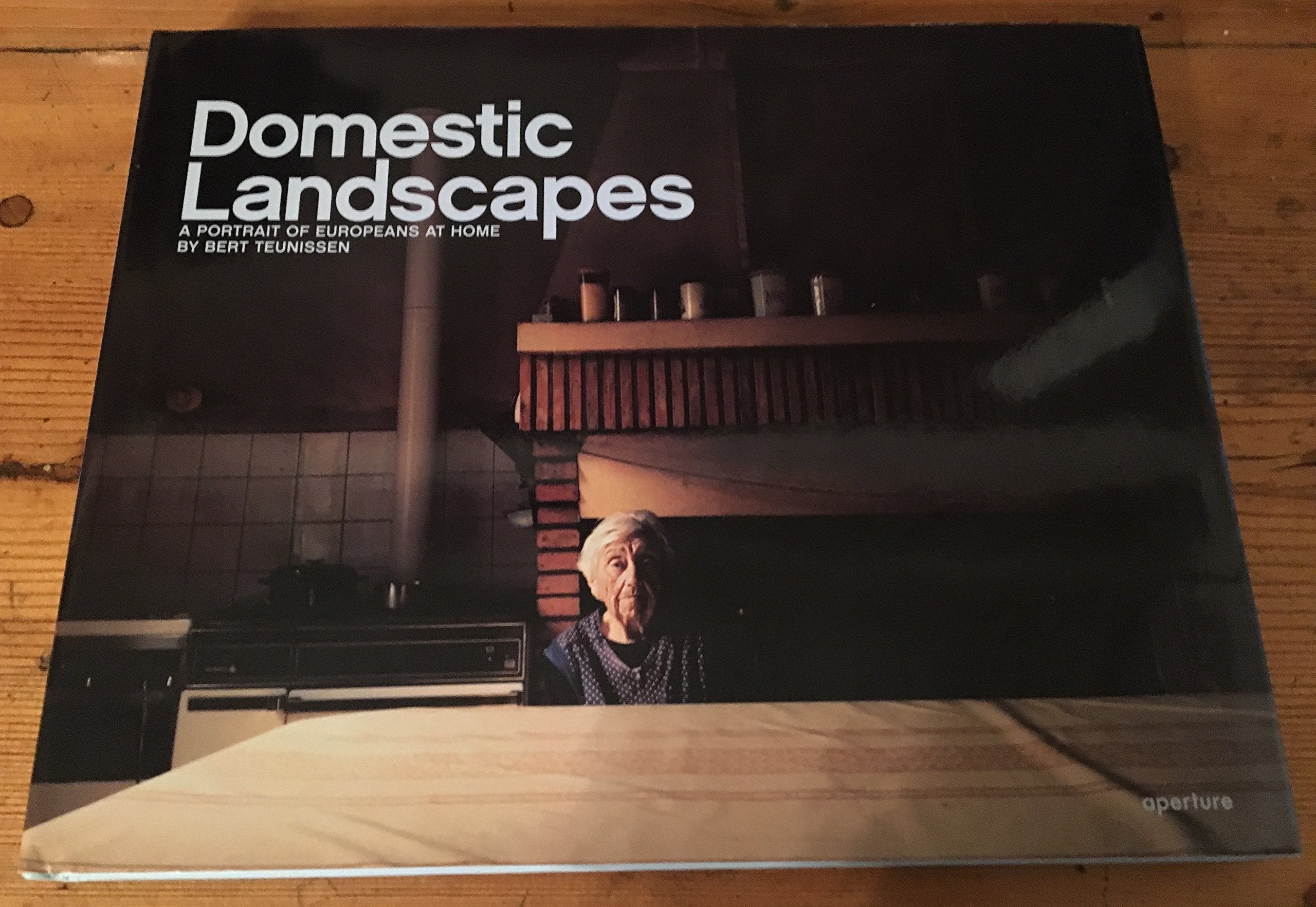 Bert Teunissen Domestic Landscapes book