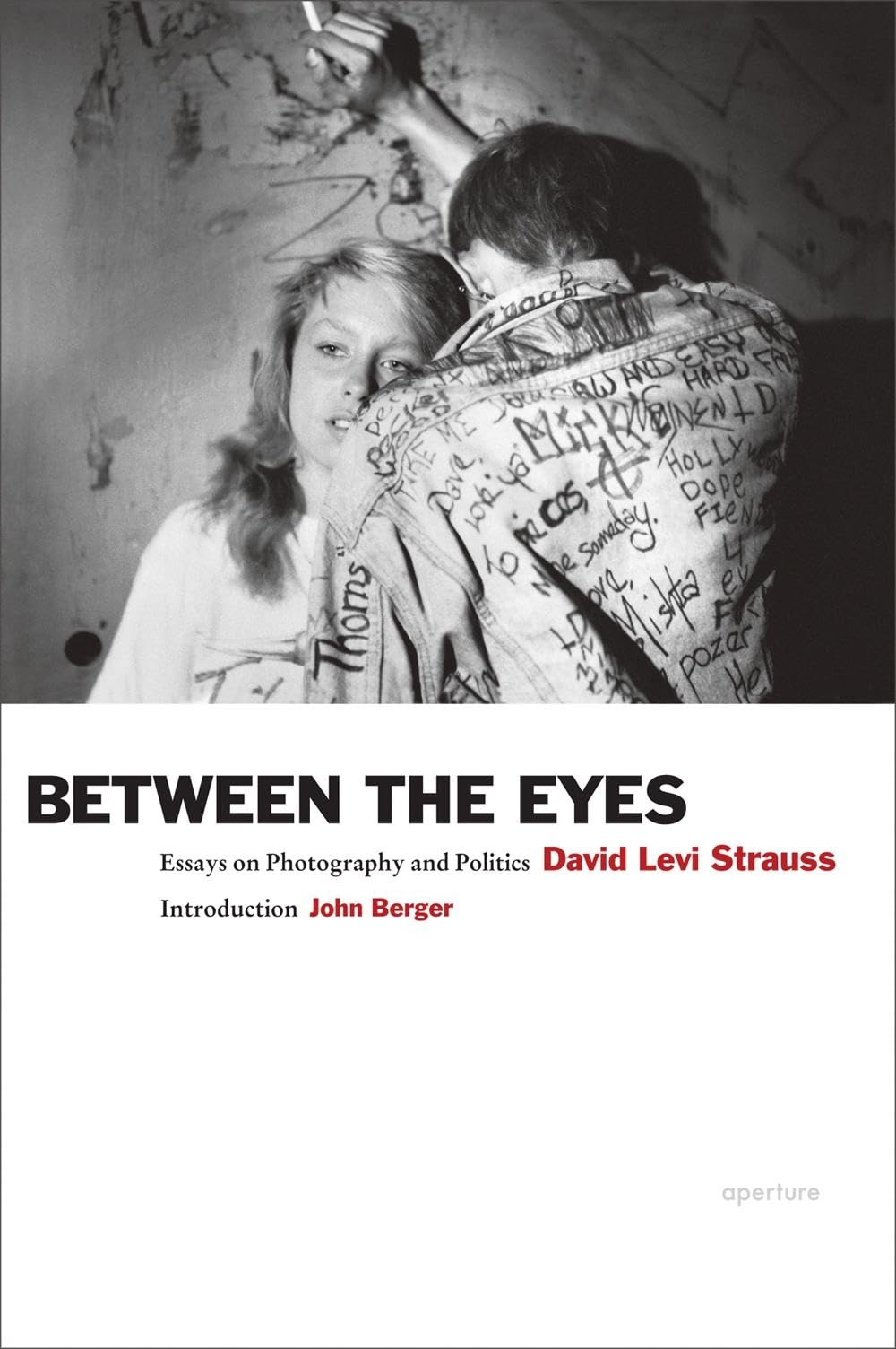David Levi Strauss: Between the Eyes: Essays on Photography and Politics Social Sciences