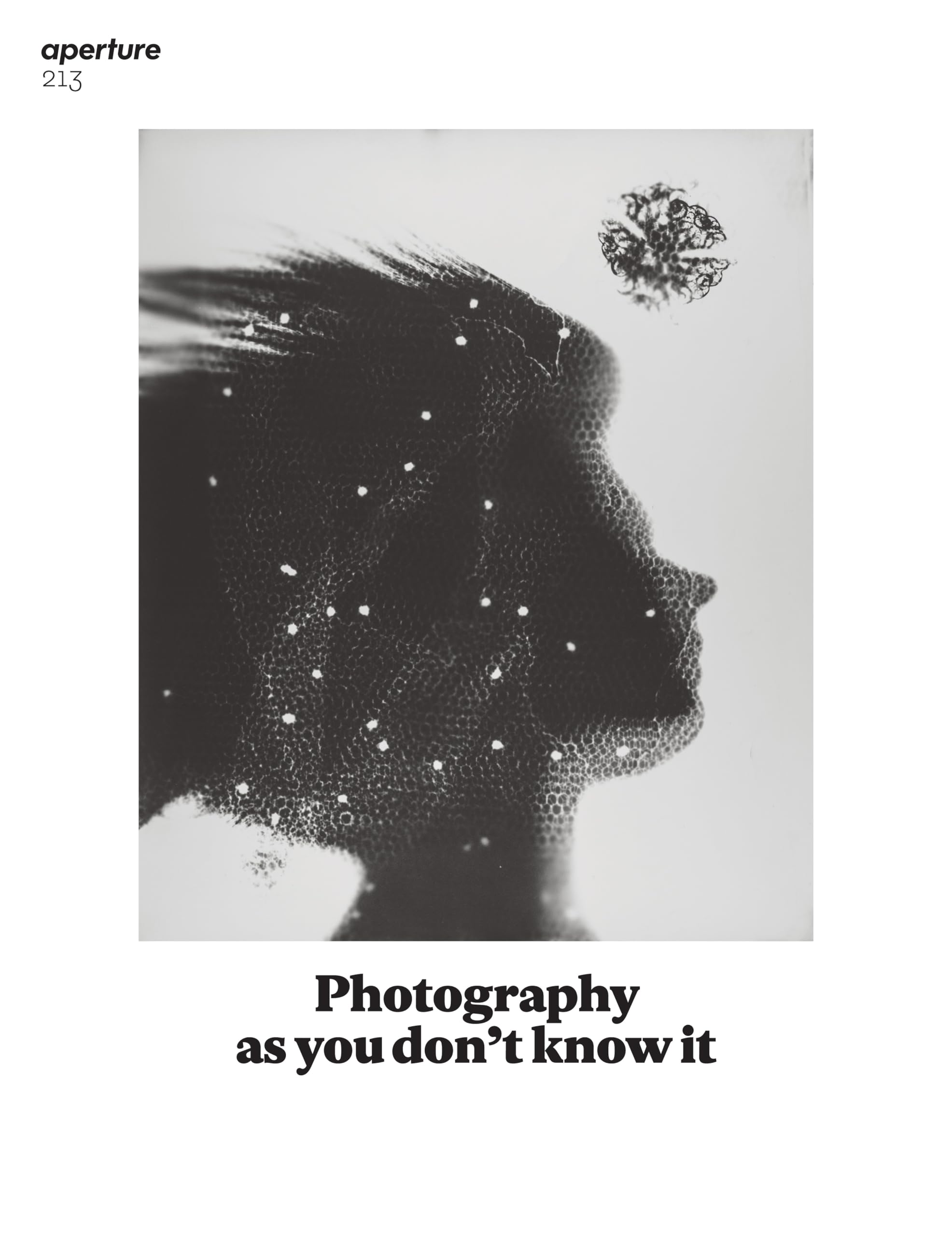 Photography as you don't know it: Aperture 213 (Aperture Magazine, 213, Band 213) Photography