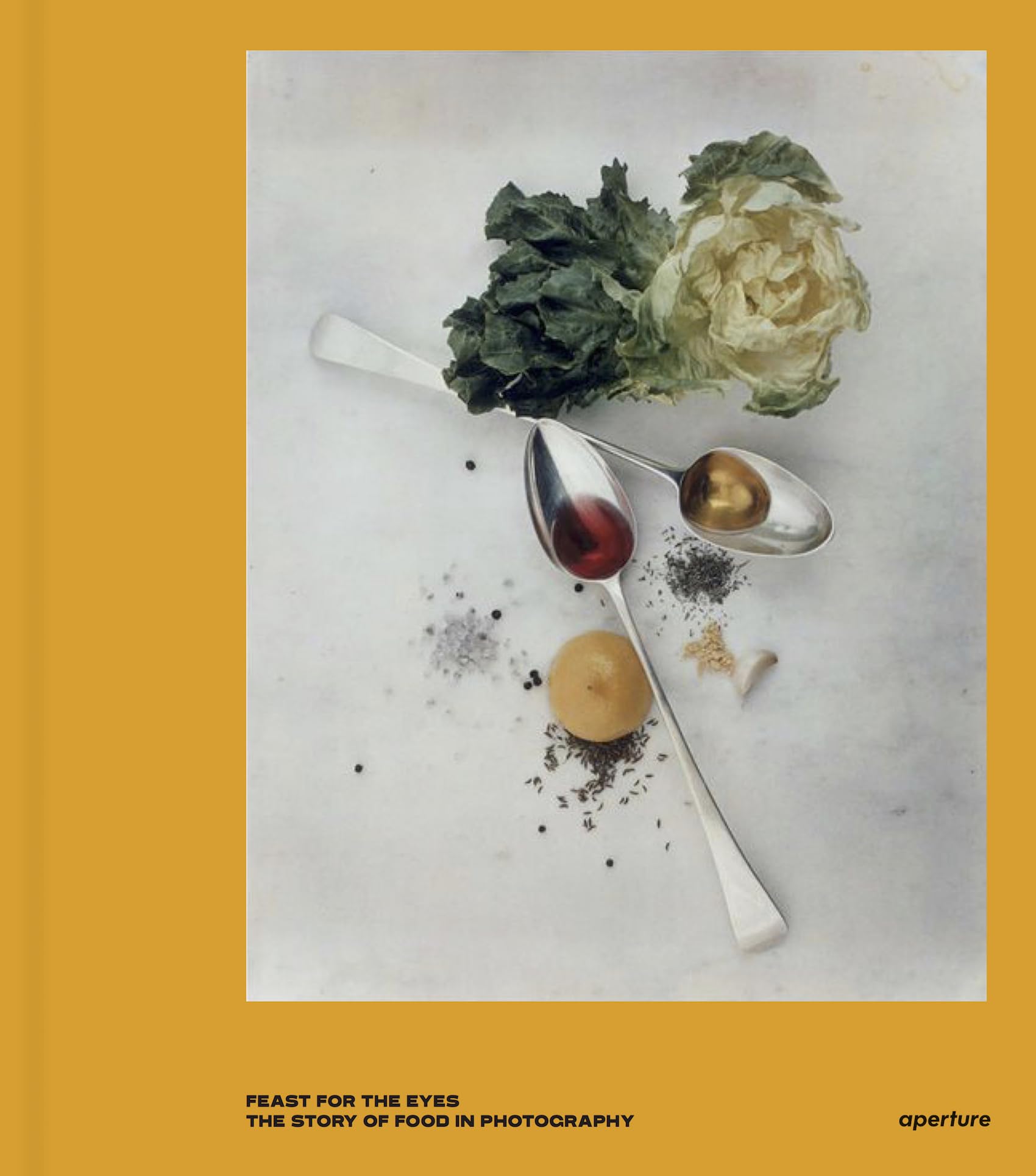 Feast for the Eyes : The Story of Food in Photography Books