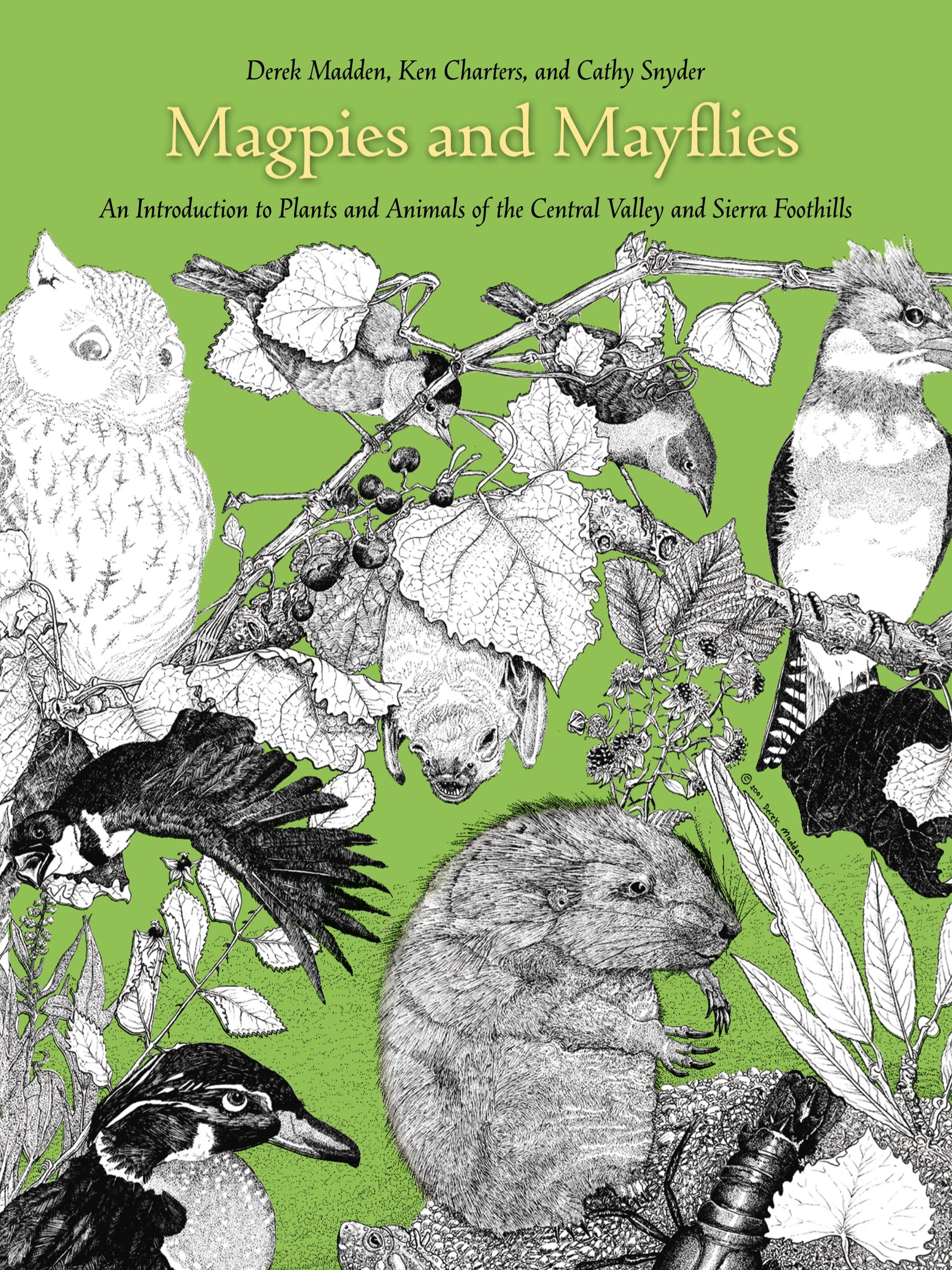 Magpies and Mayflies: An Introduction to Plants and Animals of the Central Valley and the Sierra Foothills Mathematics