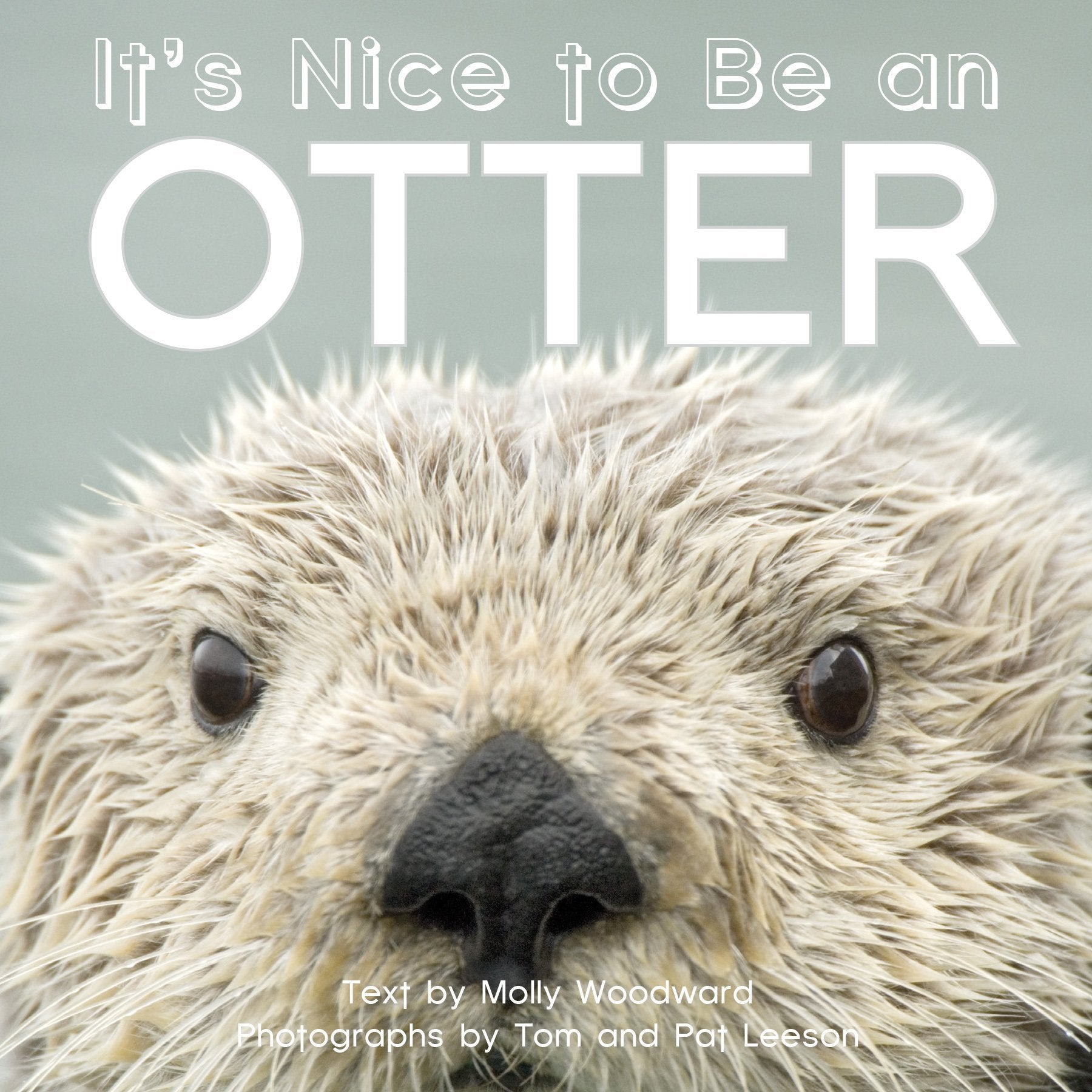 It's Nice to Be an Otter Non-fiction