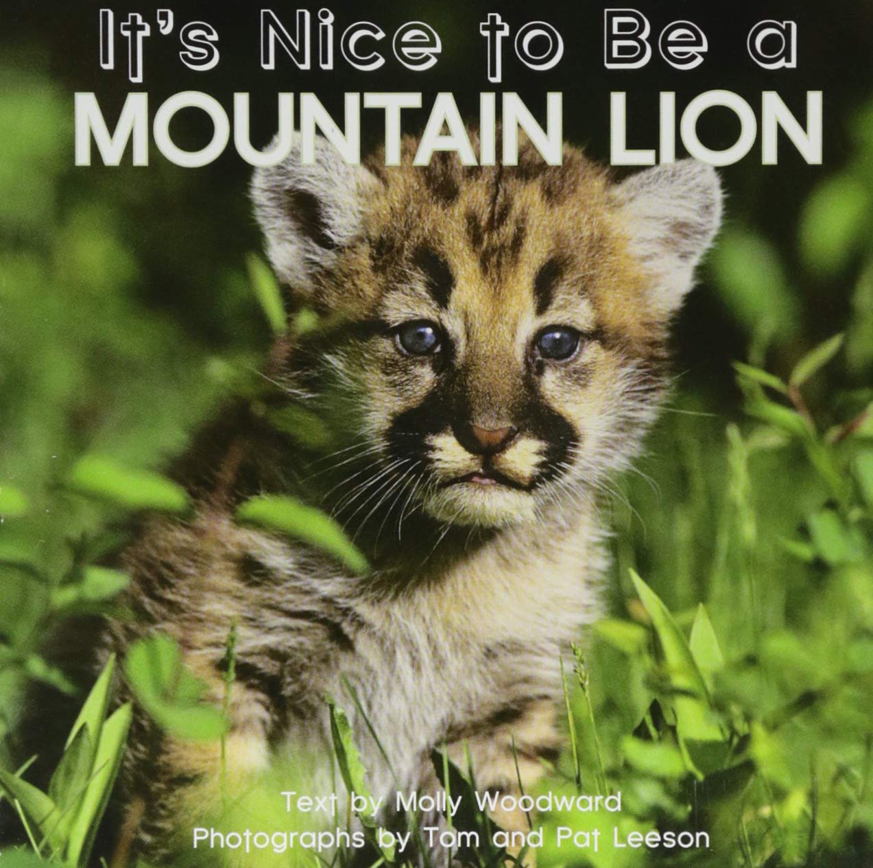 It's Nice to Be a Mountain Lion Novels & Short Stories