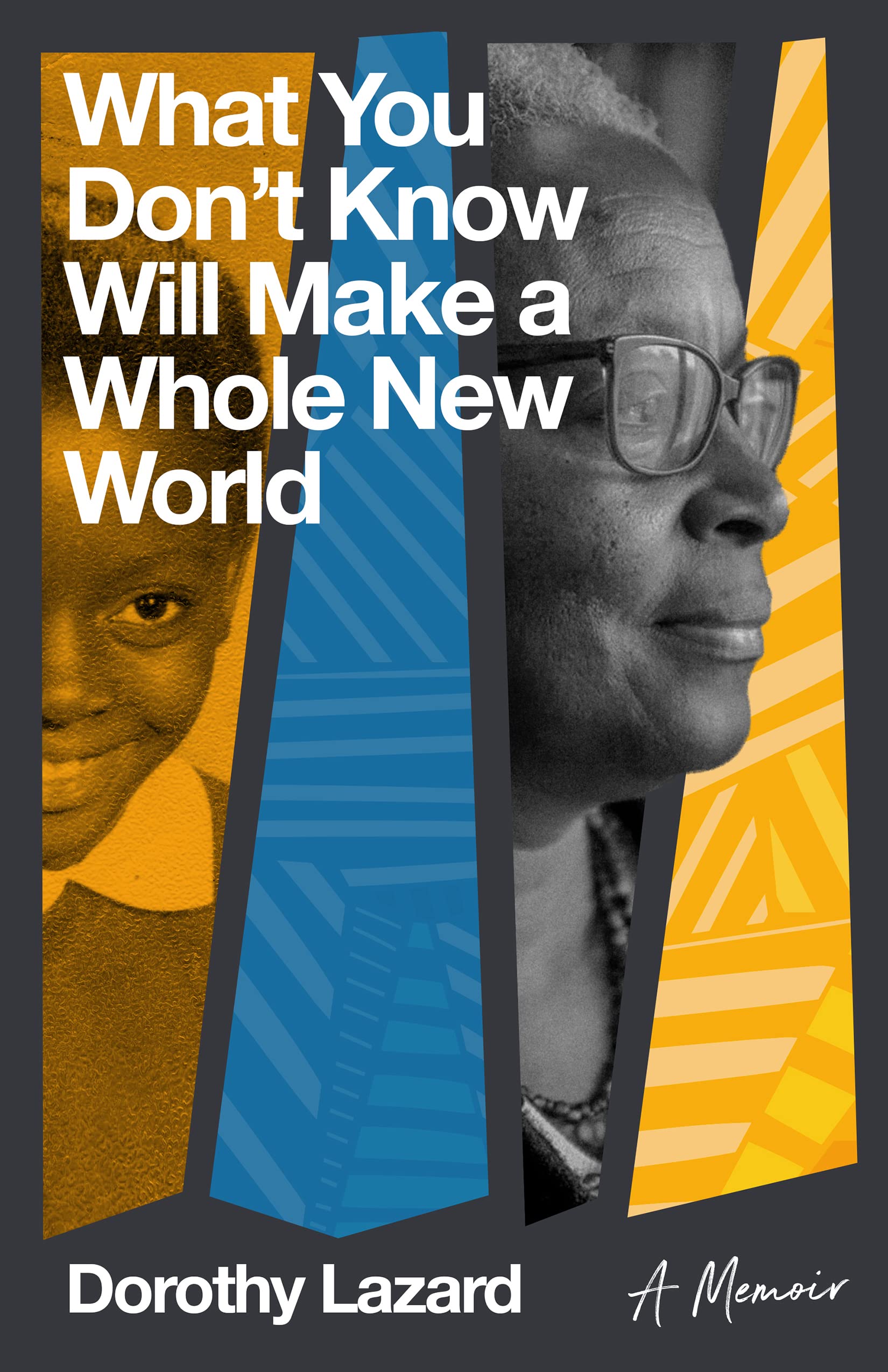 What You Don't Know Will Make a Whole New World: A Memoir book