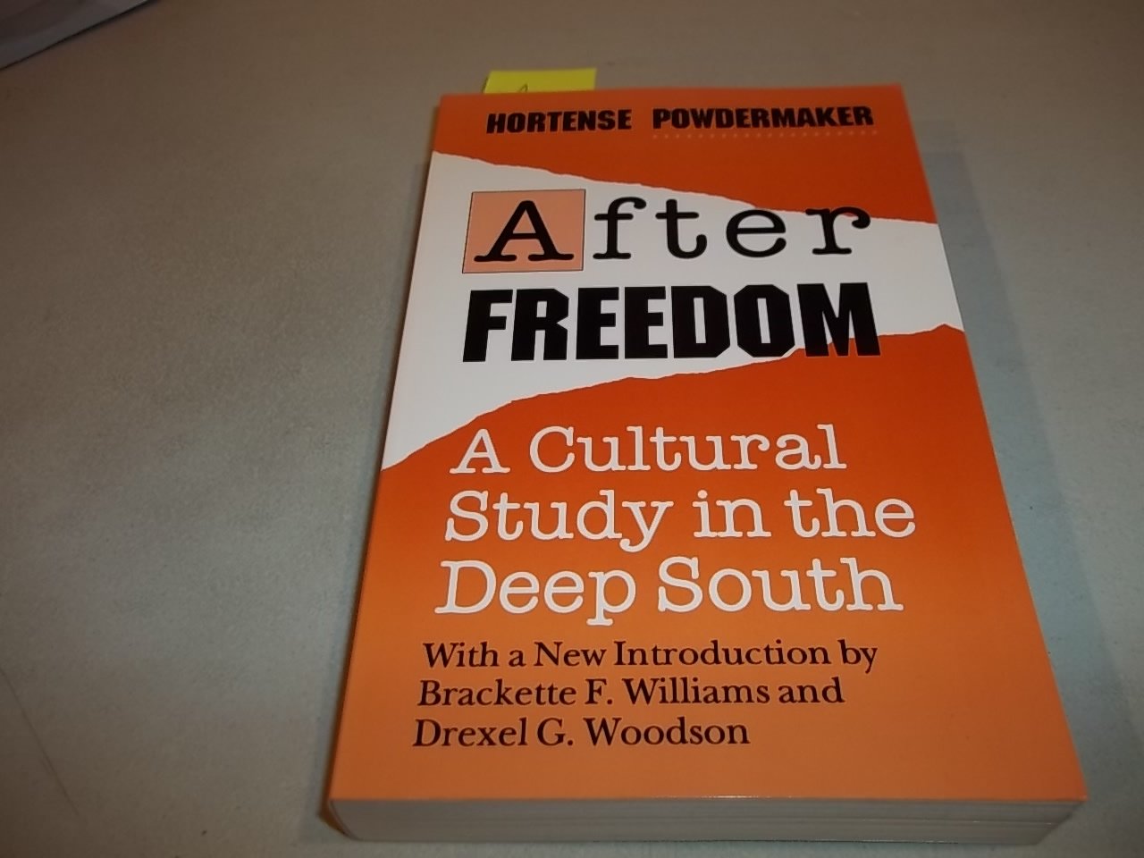After Freedom: A Cultural Study in the Deep South Politics & History