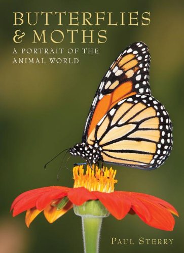 Butterflies & Moths (A Portrait of the Animal World) Mathematics