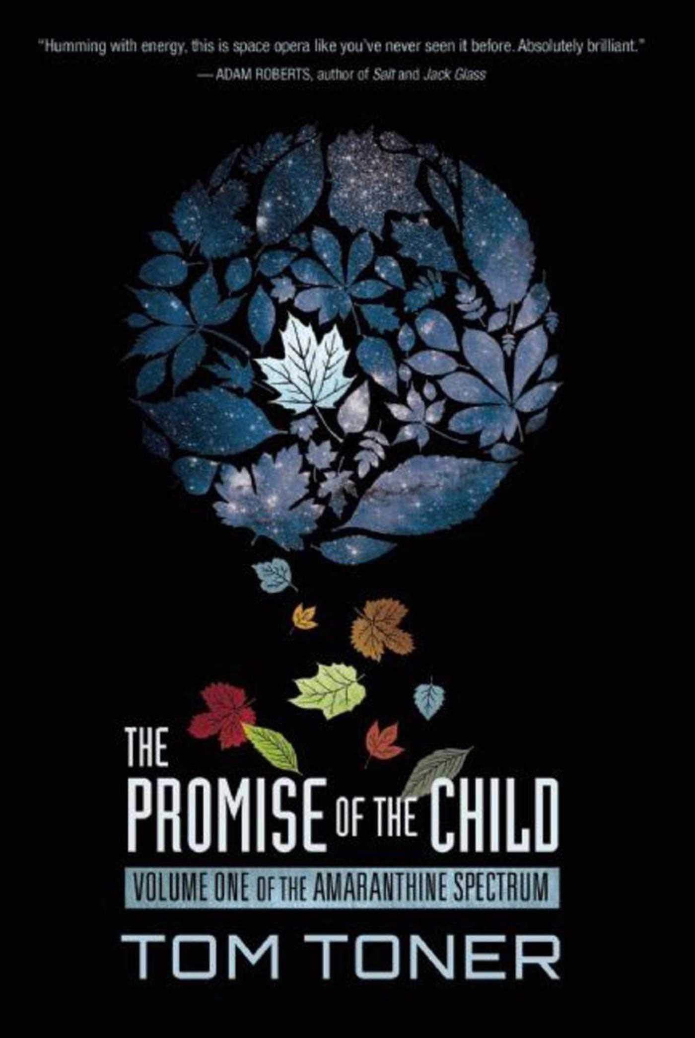 The Promise of the Child book
