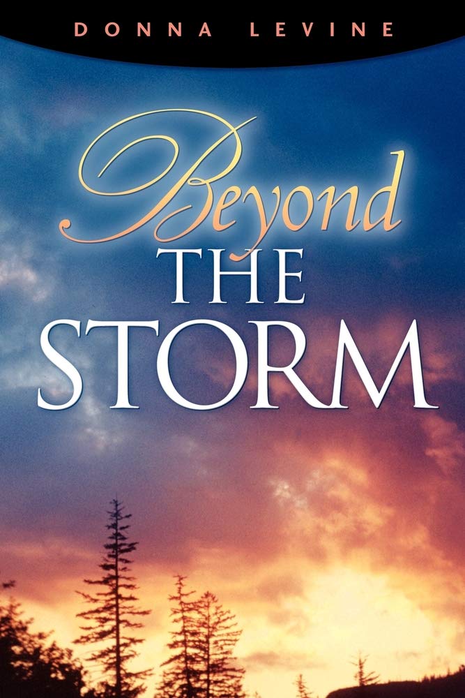 Beyond The Storm Social Sciences