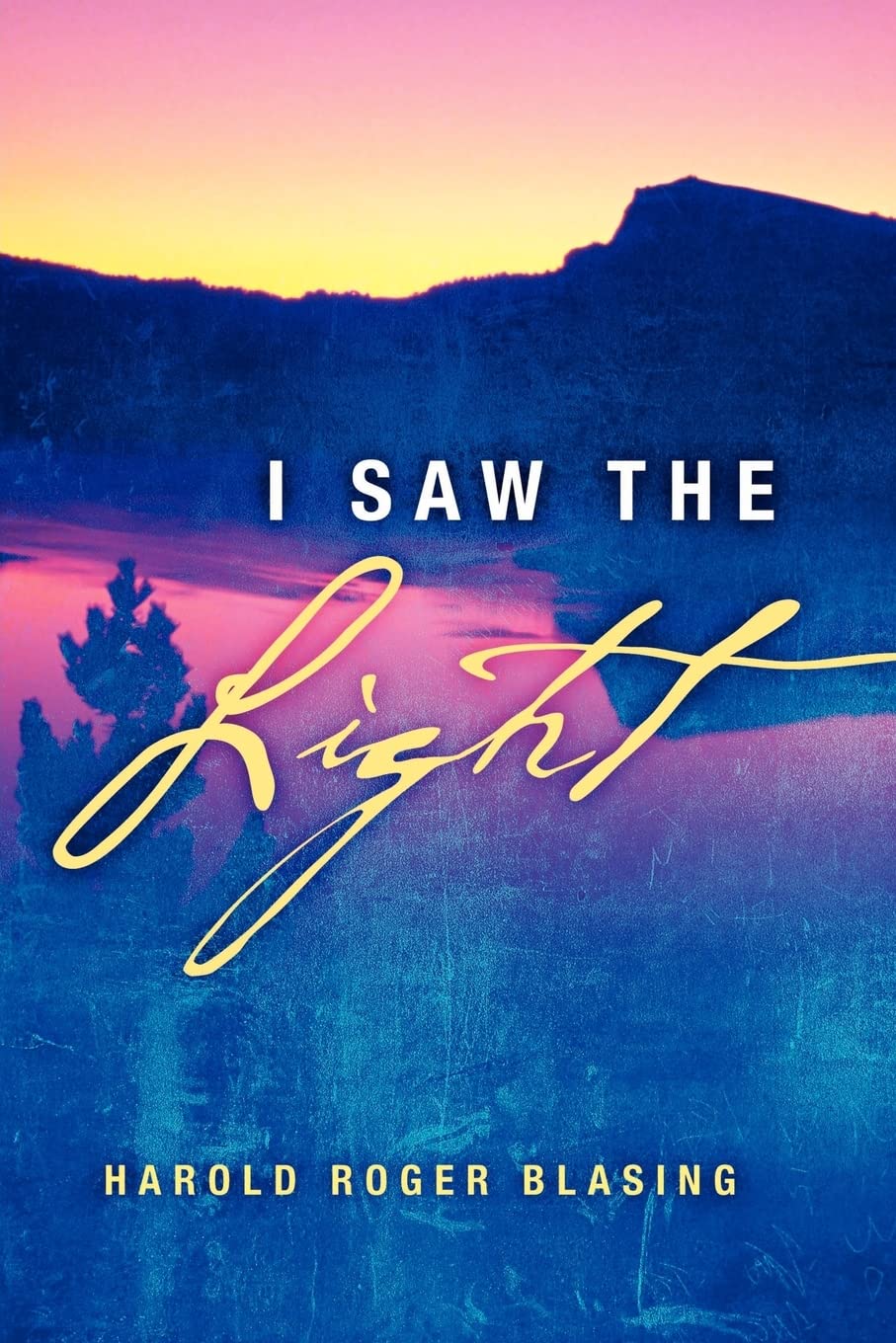 Product Image: I Saw The Light