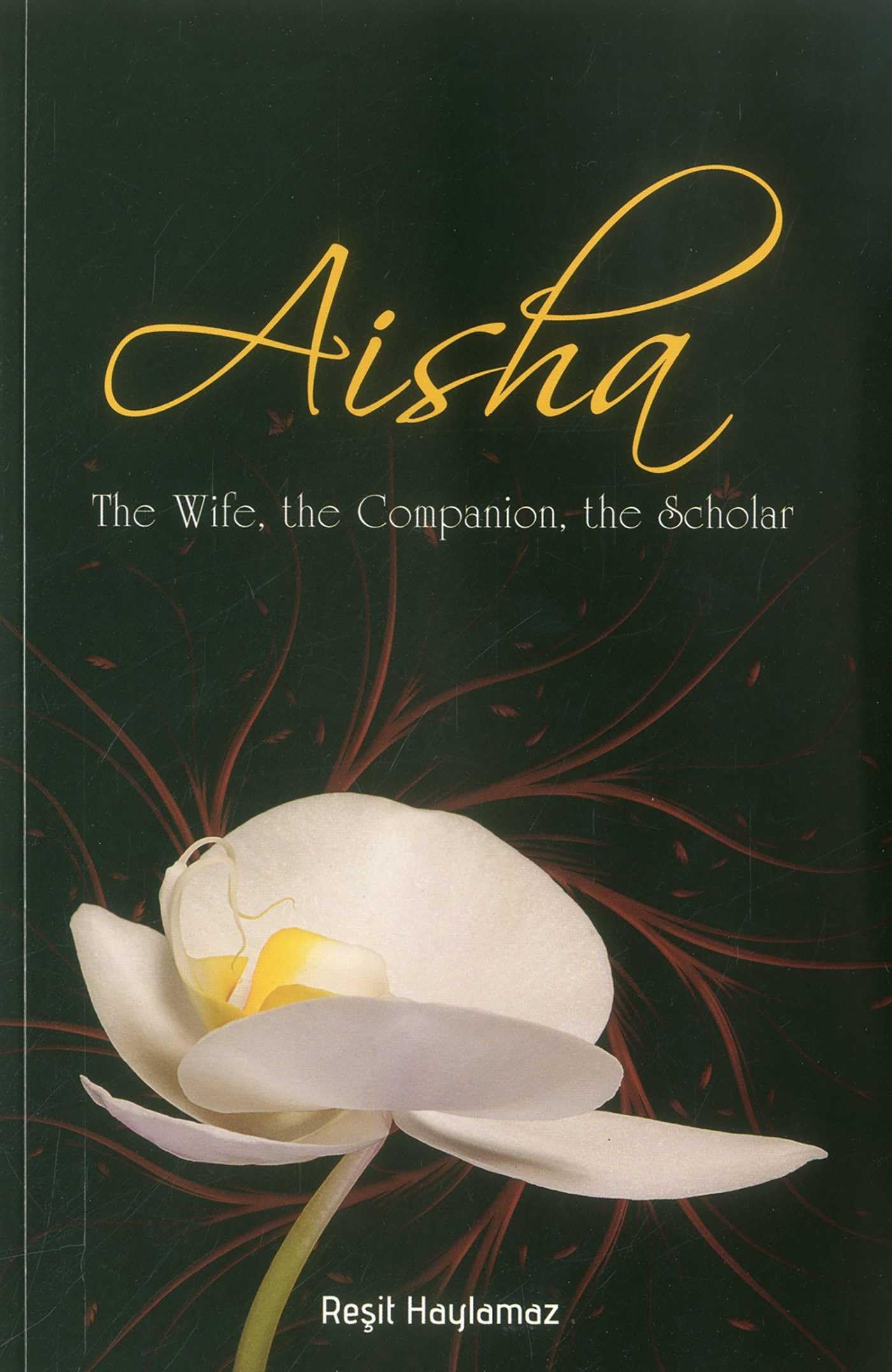Aisha: The Wife, the Companion, the Scholar Politics & Society