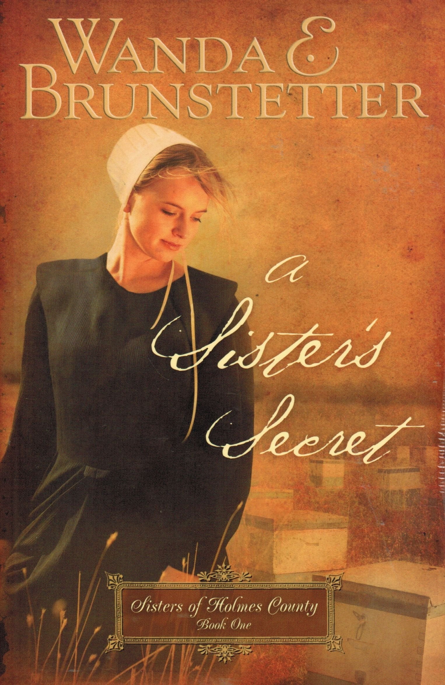 A Sister's Secret (Sisters of Holmes County, Band 1) Religion & Esotericism