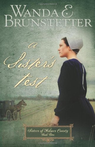 A Sister's Test: Large Print (Sisters of Holmes County, Band 2) Religion & Esotericism