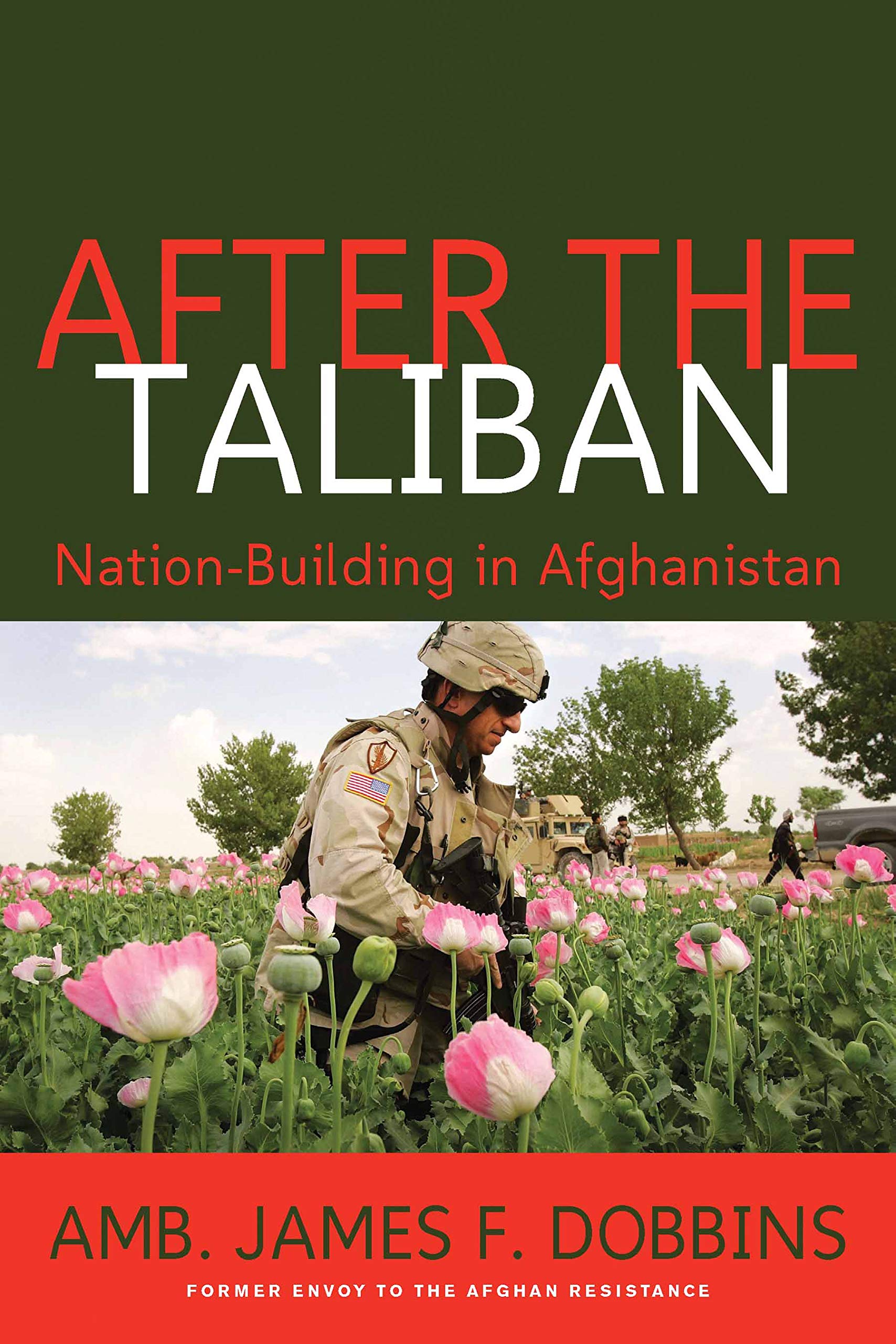 After the Taliban: Nation-Building in Afghanistan book