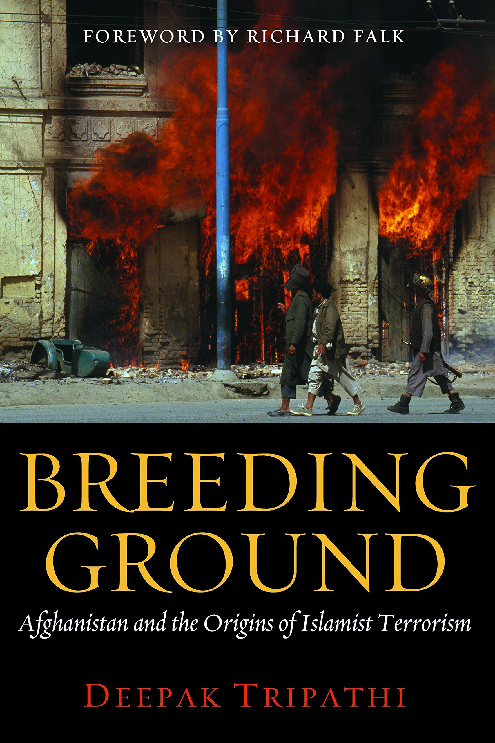 Breeding Ground: Afghanistan and the Origins of Islamist Terrorism Social Sciences