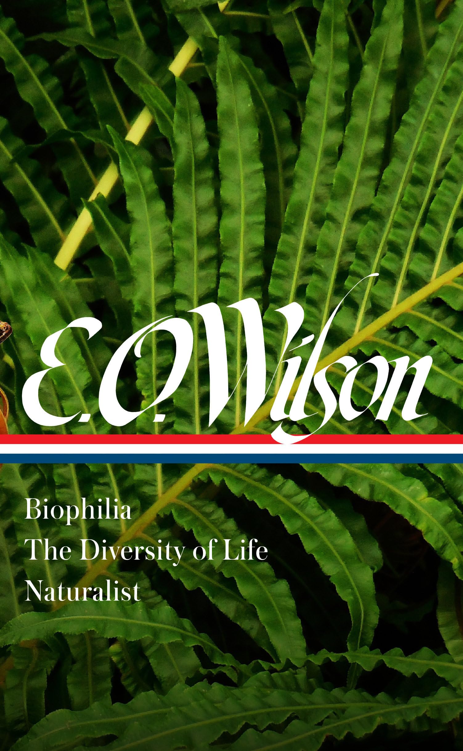 E. O. Wilson: Biophilia, The Diversity of Life, Naturalist (LOA #340) (Library of America, Band 340) Sports Books