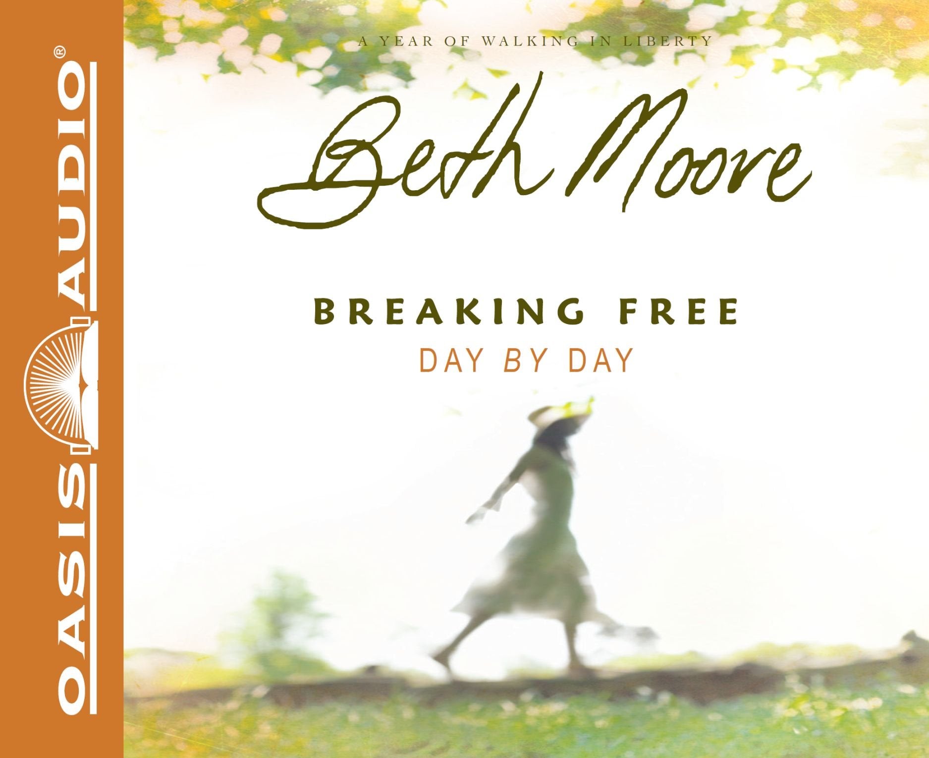 Breaking Free Day by Day: A Year of Walking in Liberty Social Sciences