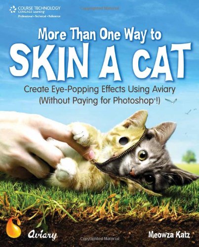 More Than One Way to Skin a Cat: Create Eye-Popping Effects Using Aviary (Without Paying for Photoshop!) Computer Science