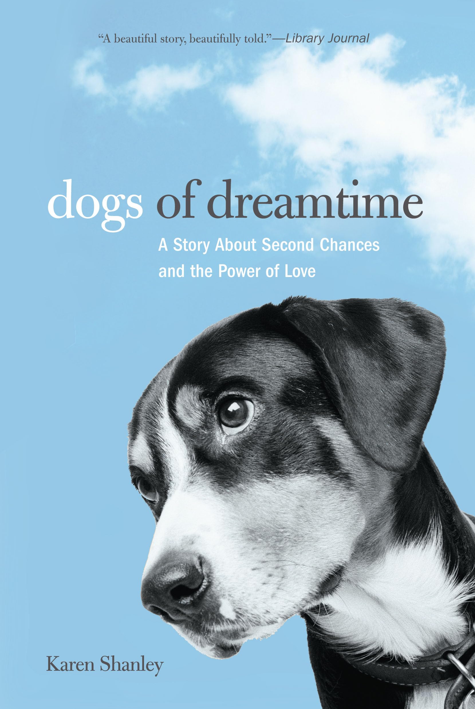 Dogs of Dreamtime: A Story about Second Chances and the Power of Love Pets