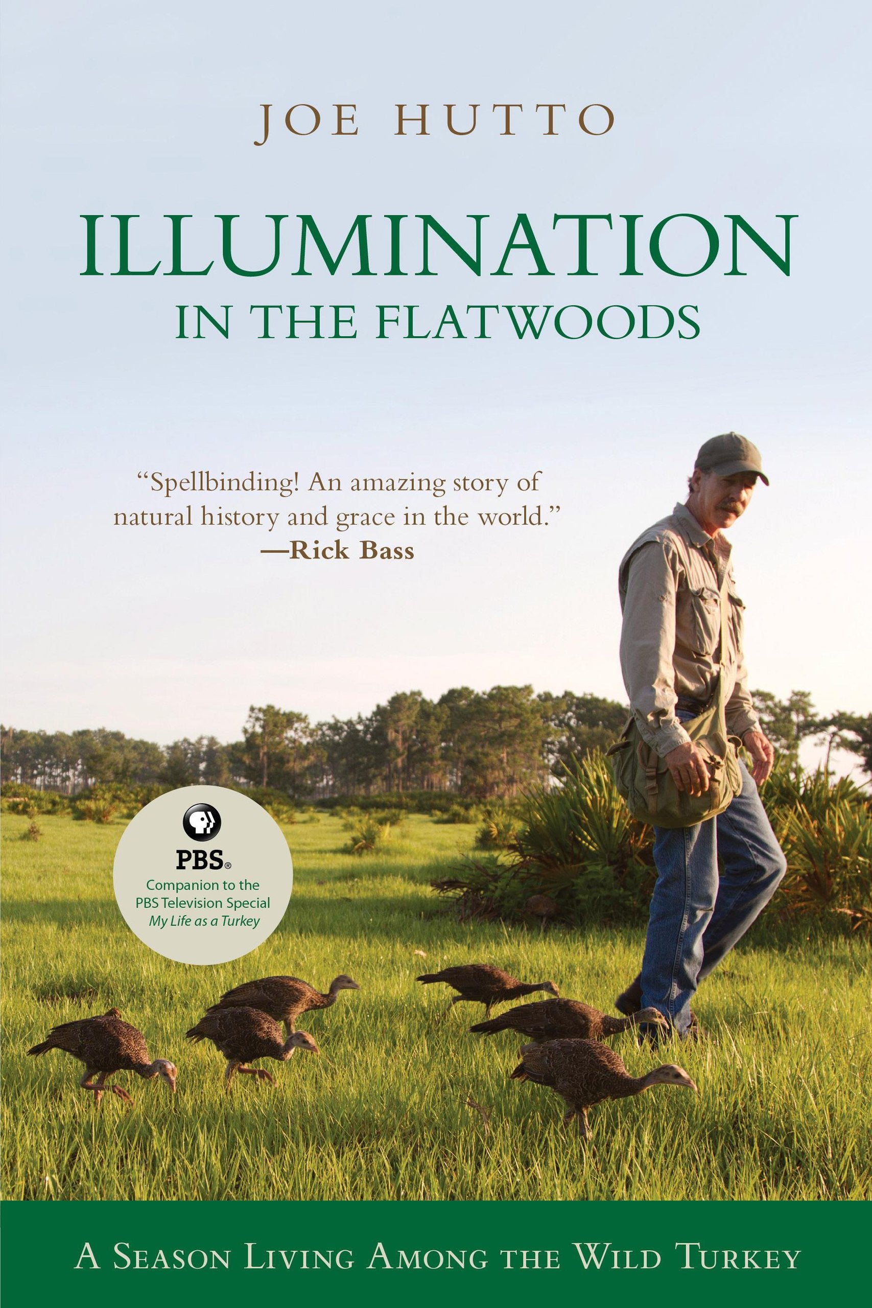 Illumination in the Flatwoods: A Season Living Among the Wild Turkey: A Season With The Wild Turkey Mathematics