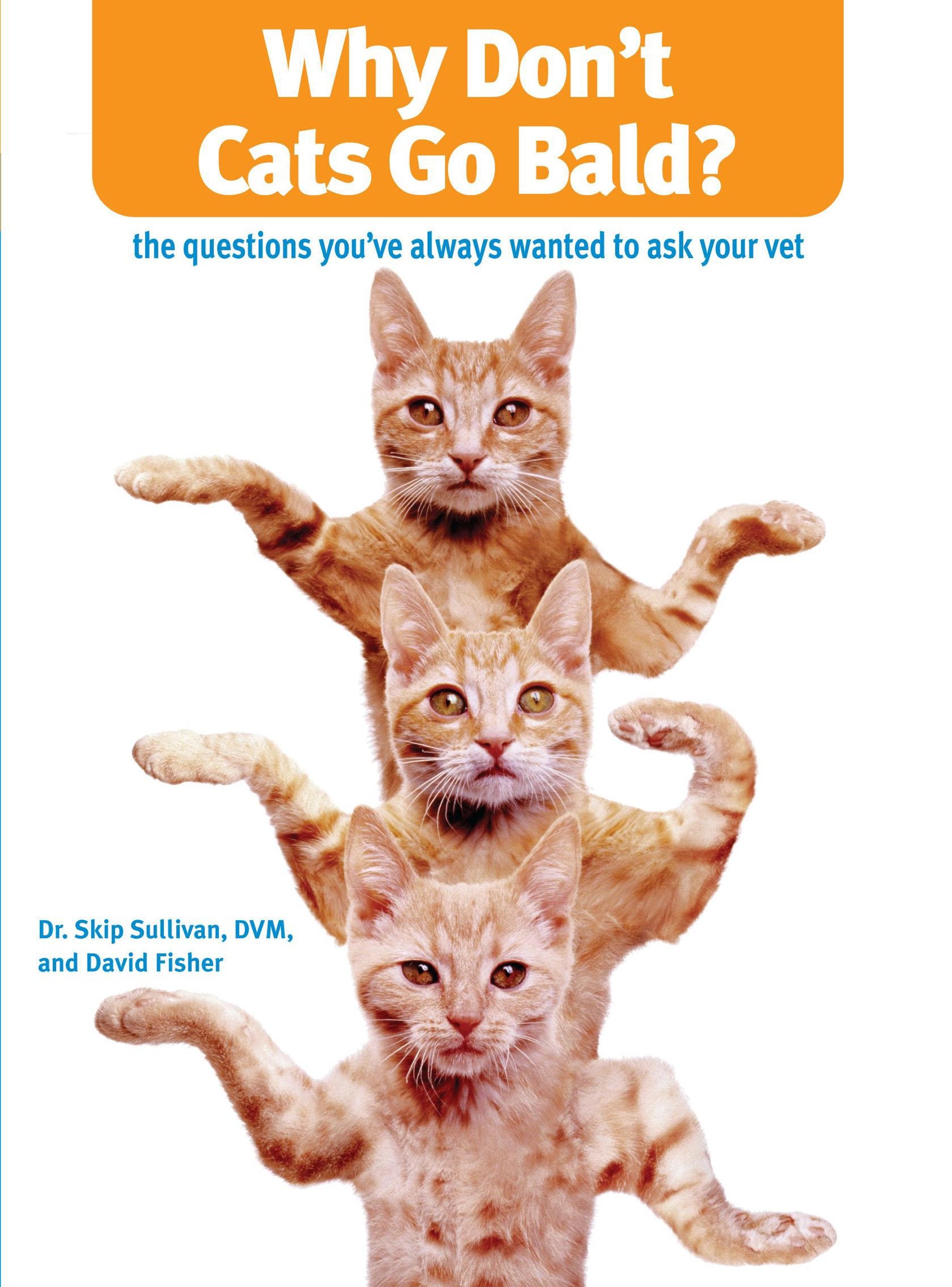 Why Don't Cats Go Bald?: The Questions You've Always Wanted to Ask Your Vet Pets