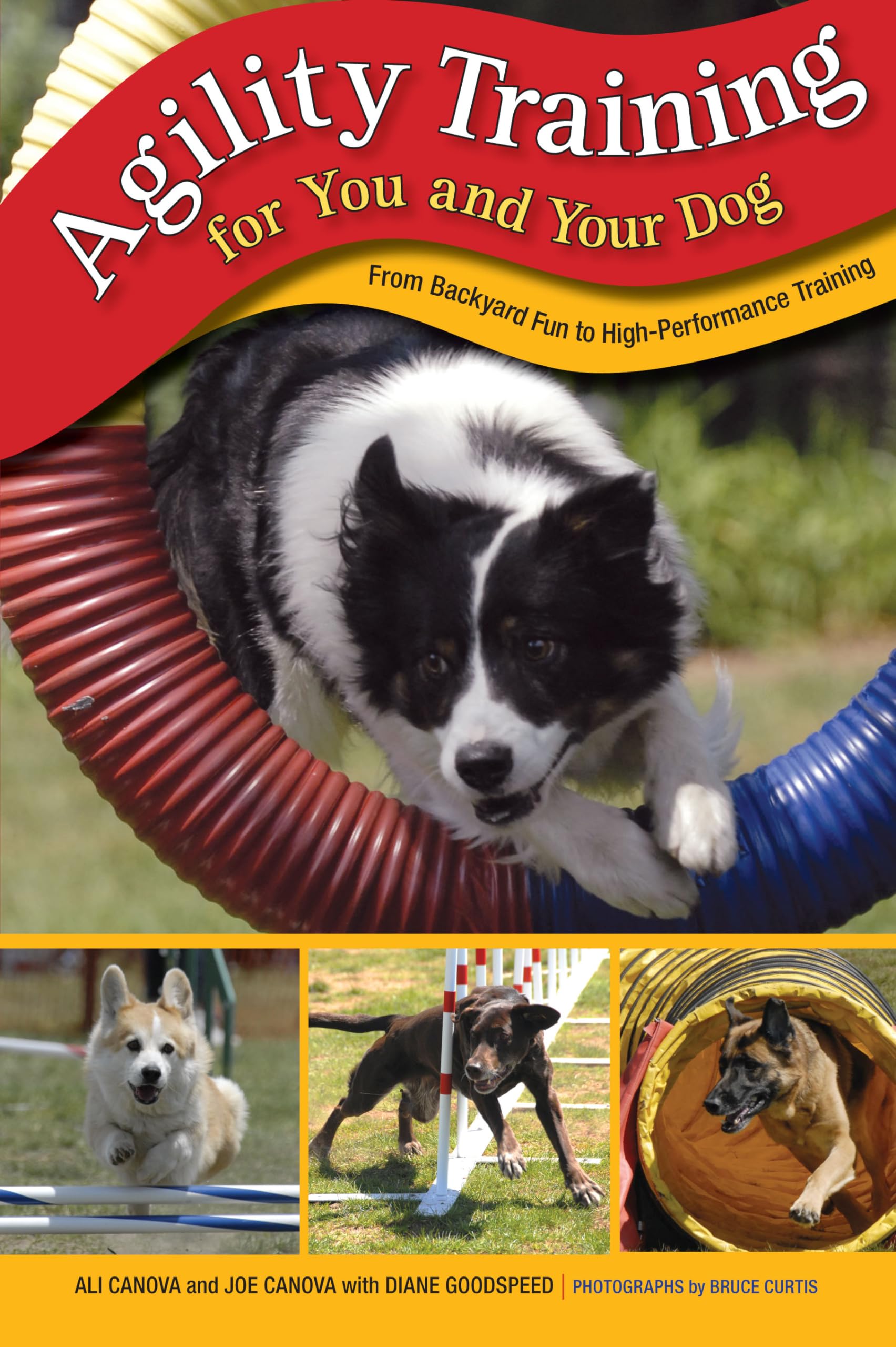 Agility Training for You and Your Dog Pets