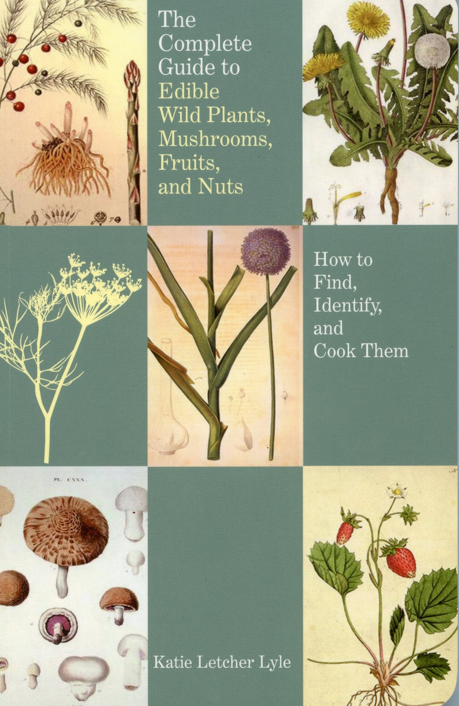 The Complete Guide to Edible Wild Plants, Mushrooms, Fruits, and Nuts: How to Find, Identify, and Cook Them (Guide to Series) Mathematics
