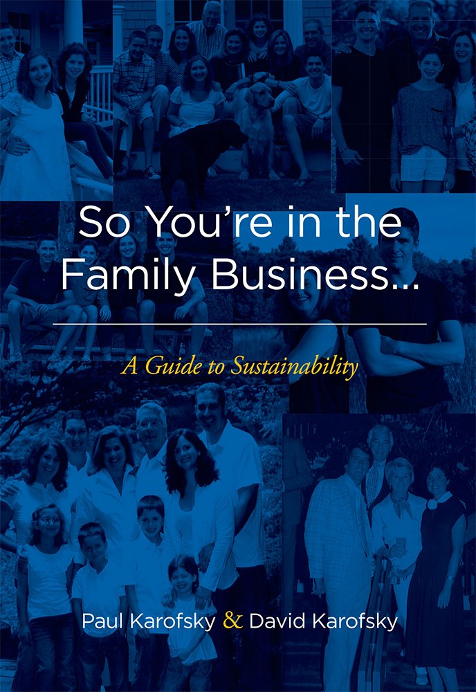 So You're in the Family Business...: A Guide to Sustainability Business, Finance & Career