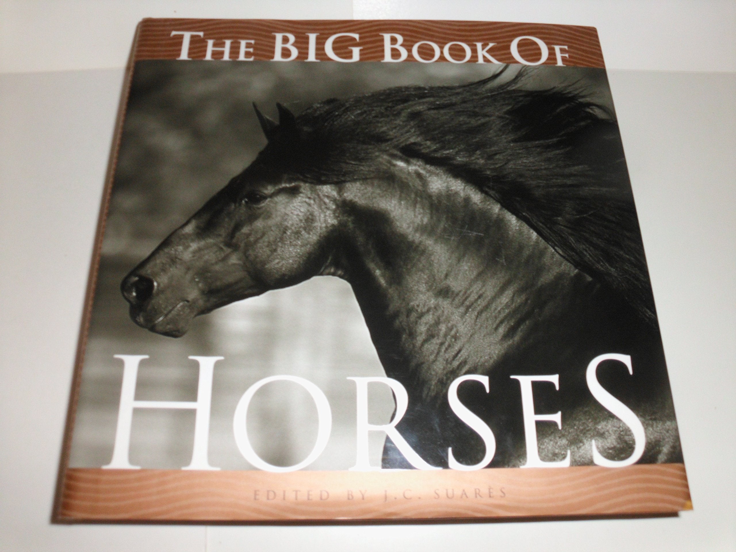 The Big Book of Horses book