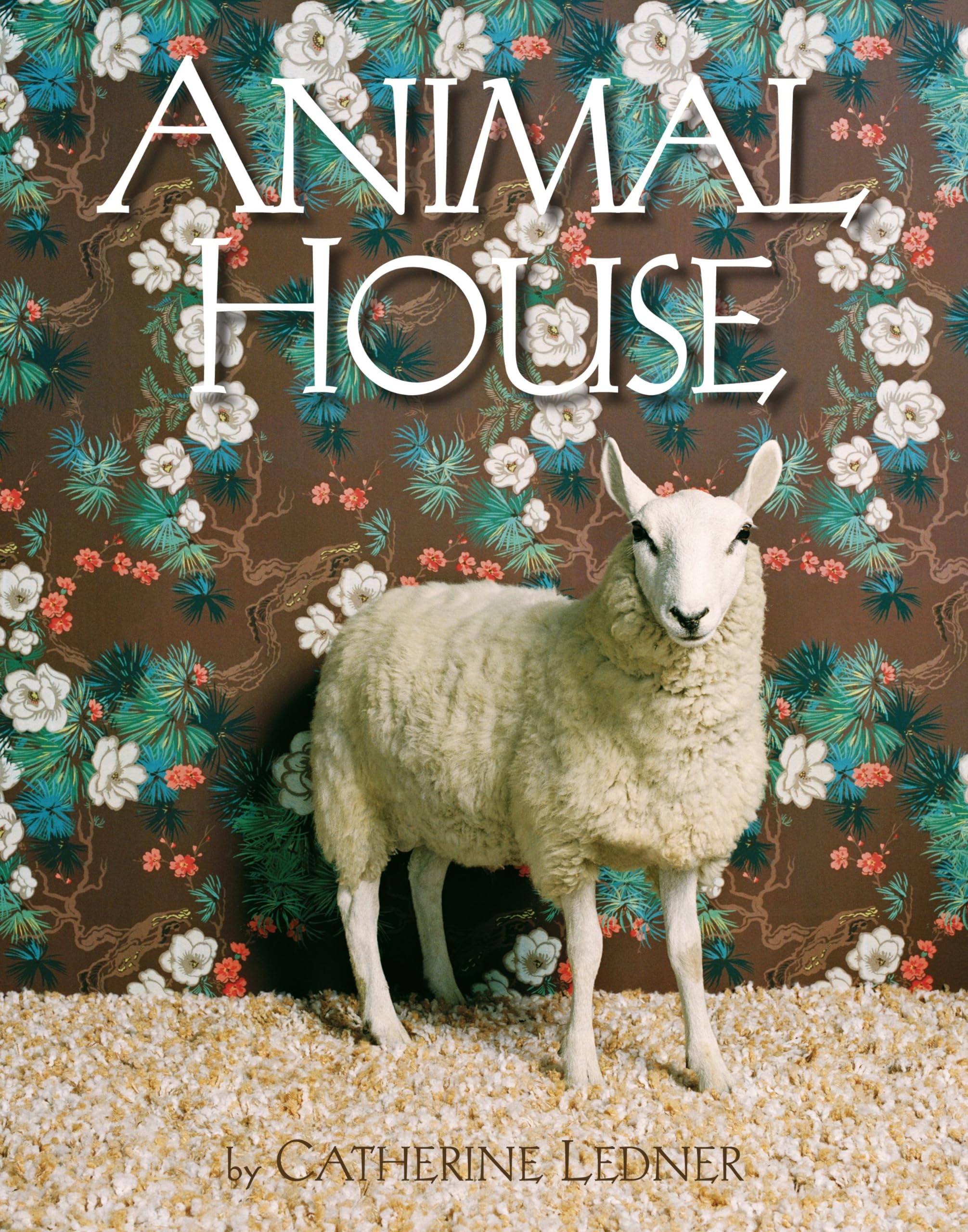 Product Image: Animal House