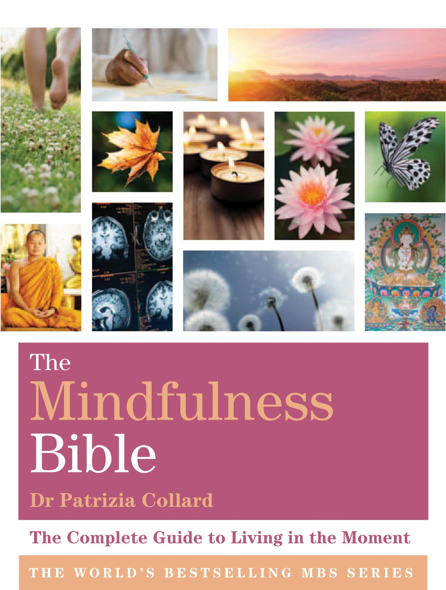 The Mindfulness Bible: The Complete Guide to Living in the Moment book