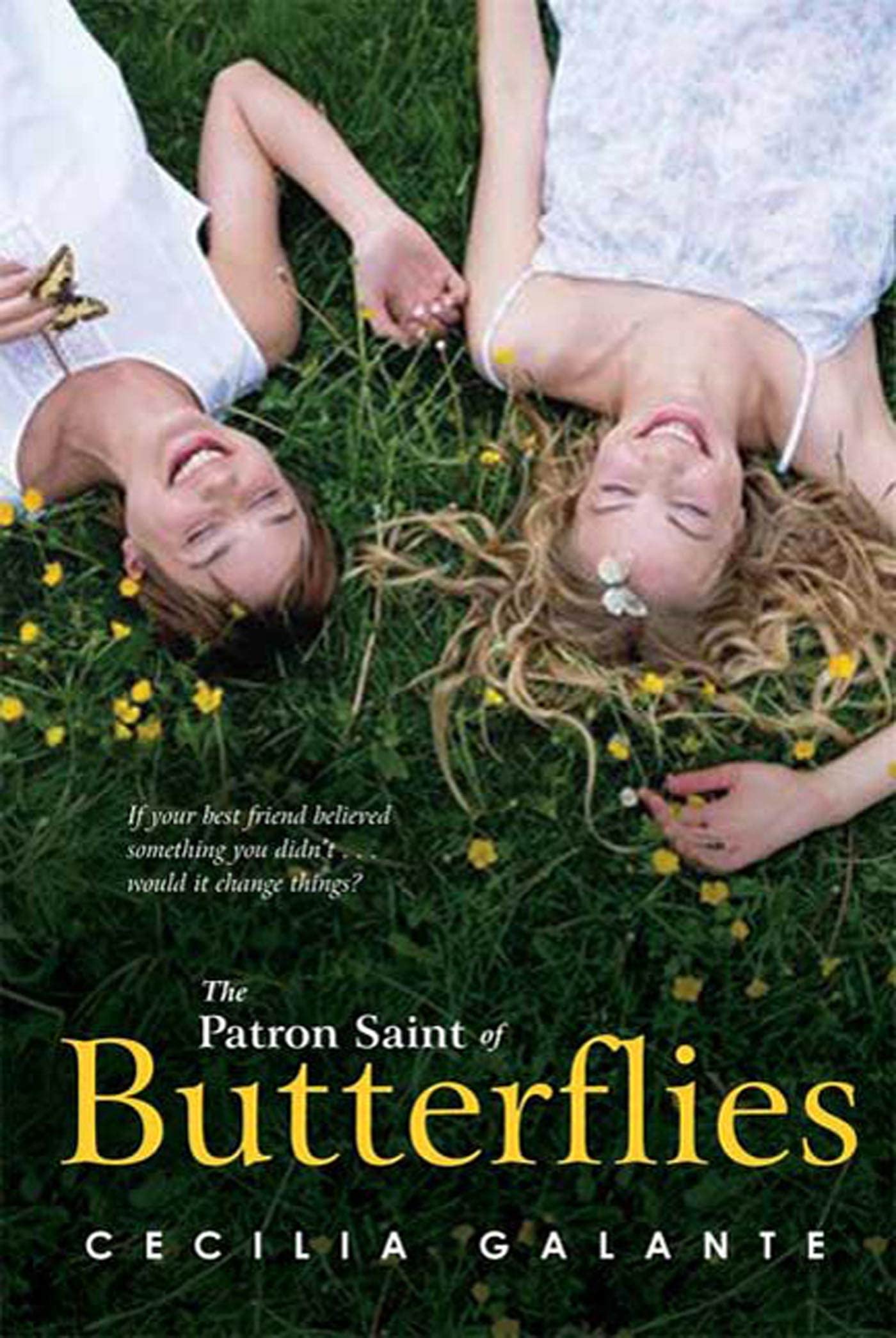 The Patron Saint of Butterflies Books