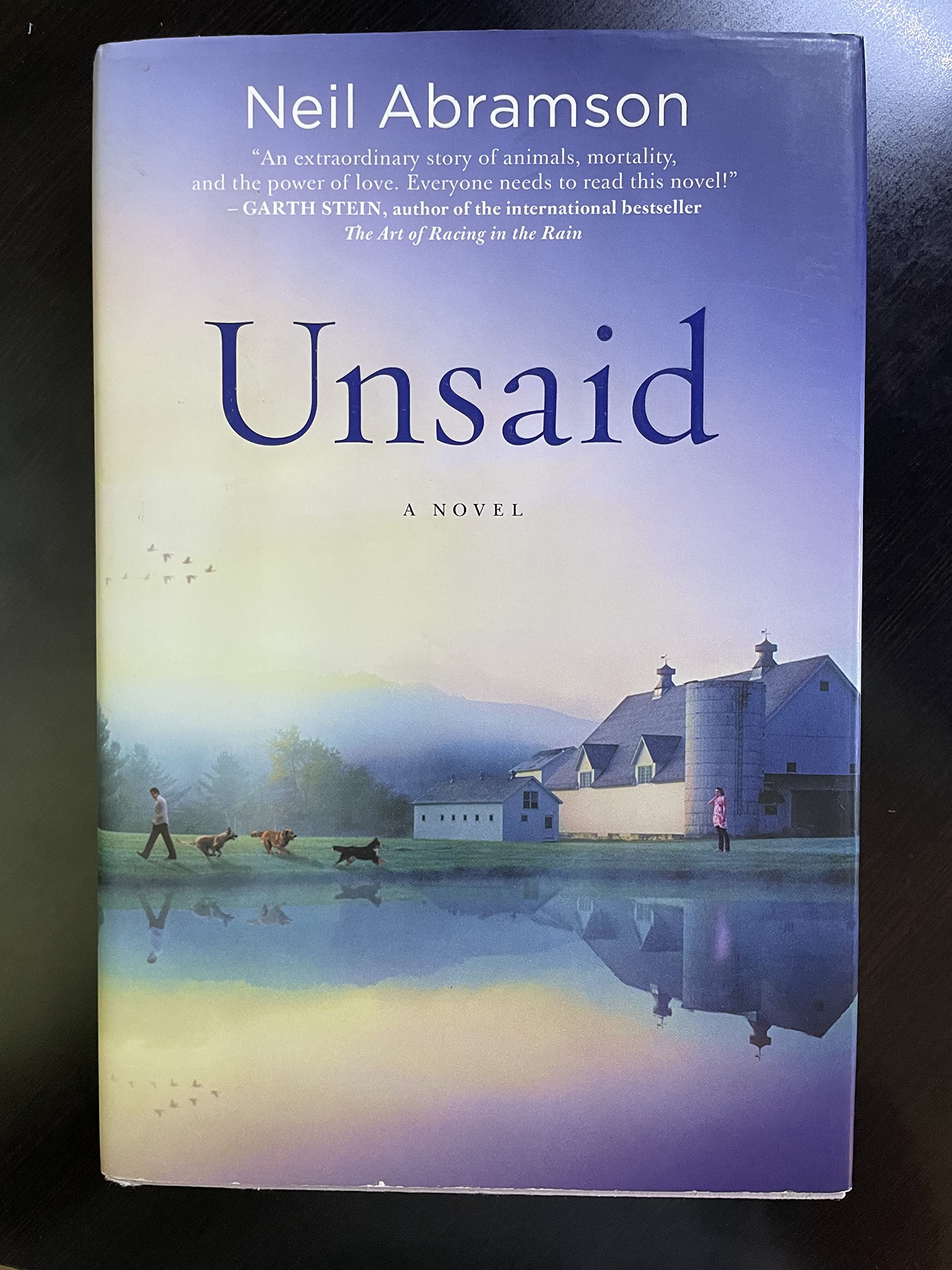 Unsaid: A Novel Contemporary literature