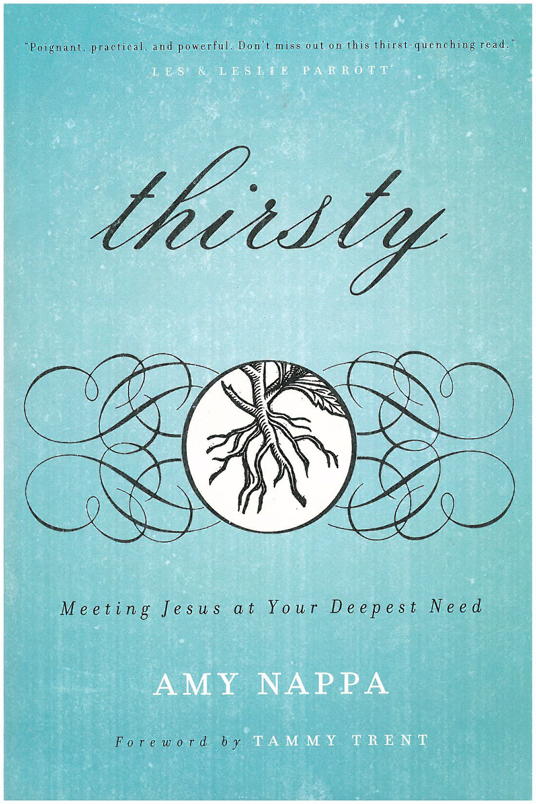 Thirsty: Meeting Jesus at Your Deepest Need Books