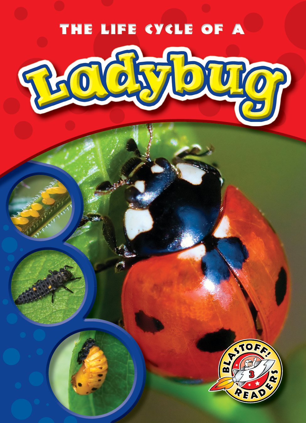 The Life Cycle of a Ladybug (Life Cycles: Blastoff! Readers, Level 3) Non-fiction