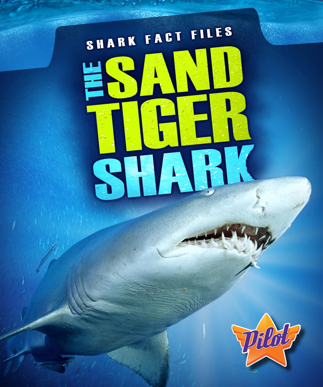 The Sand Tiger Shark (Shark Fact Files) Non-fiction