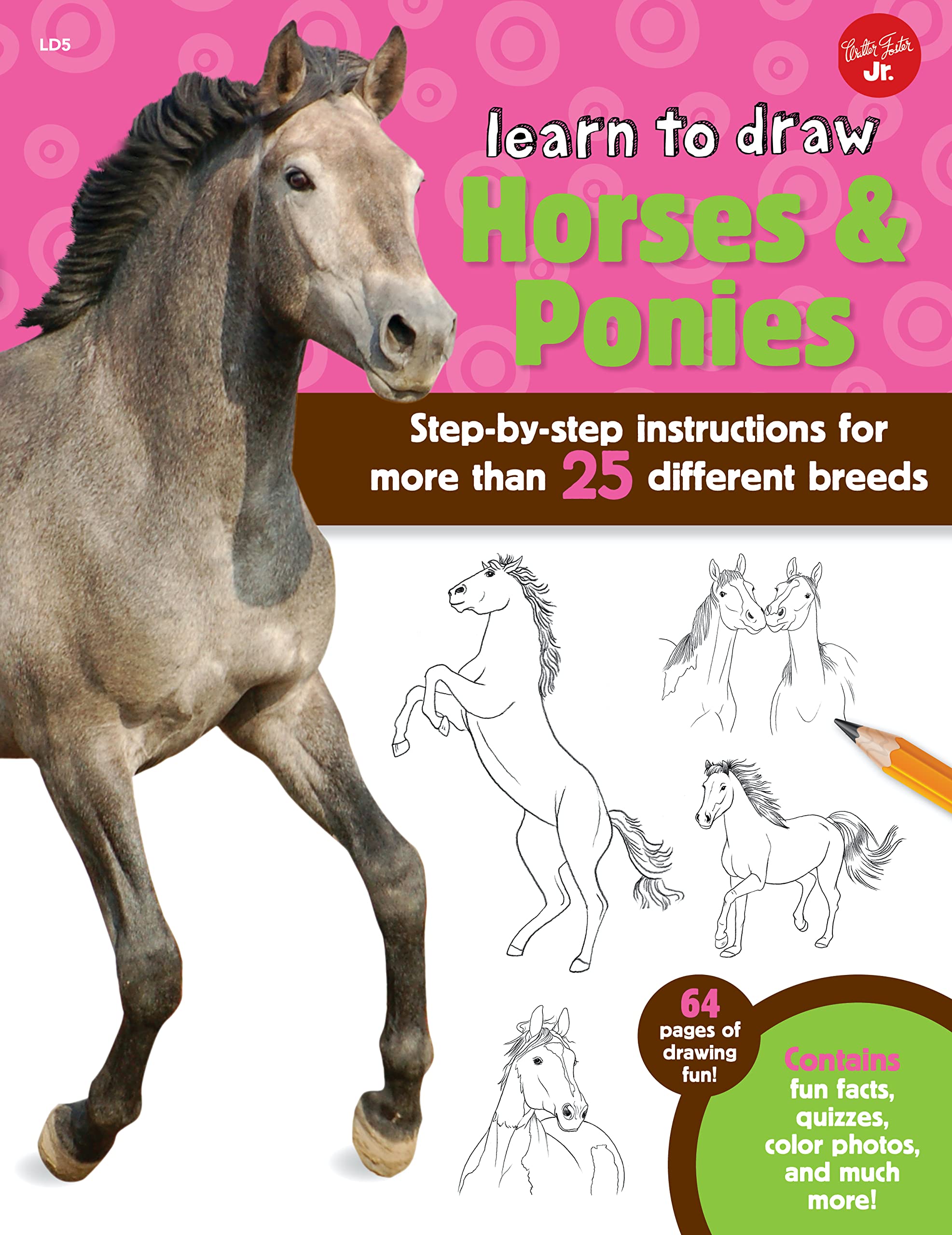 Learn to Draw Horses & Ponies Non-fiction books for kids