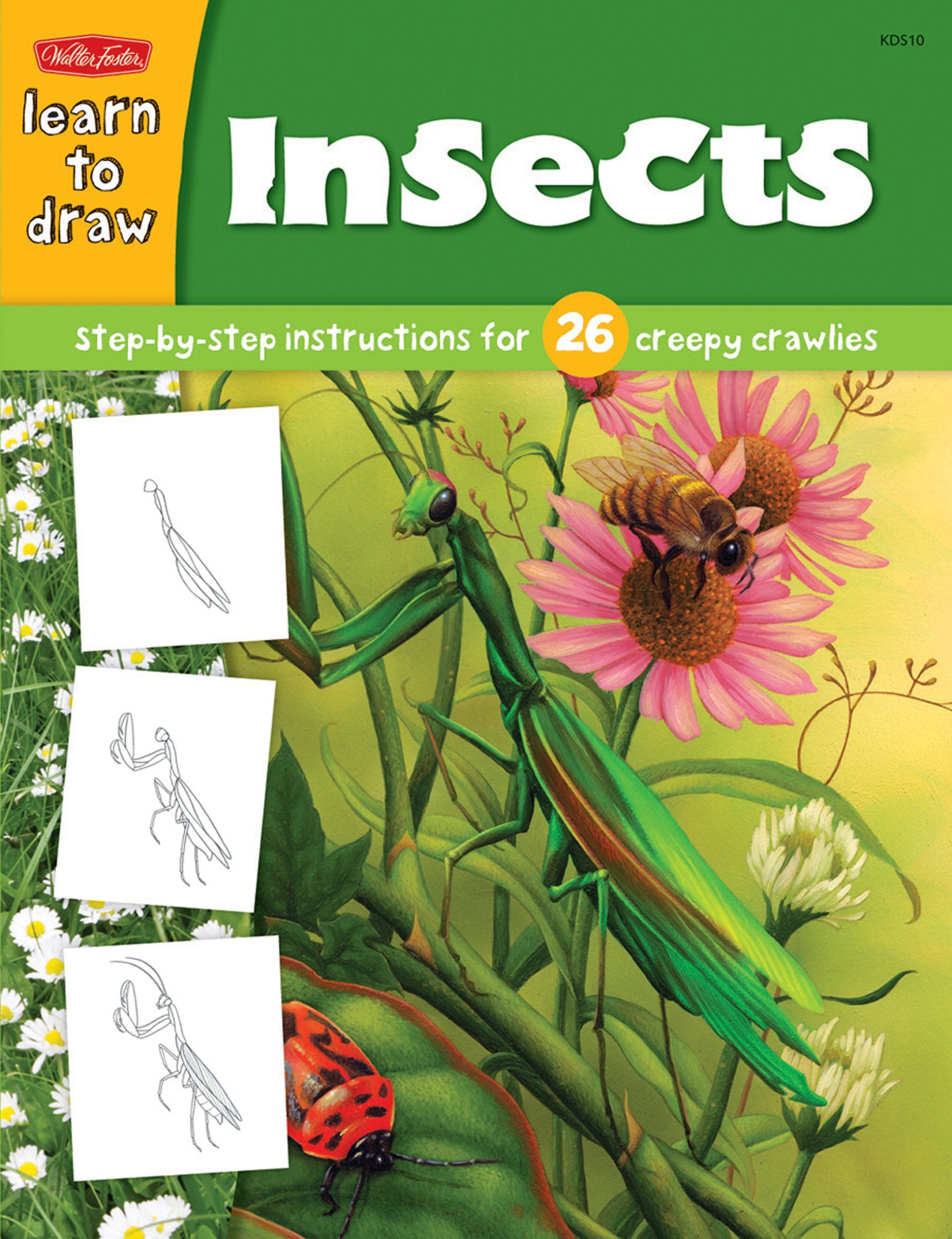 Learn to Draw Insects: Step-by-Step Instructions for 26 Creepy Crawlies (Draw and Color) Non-fiction