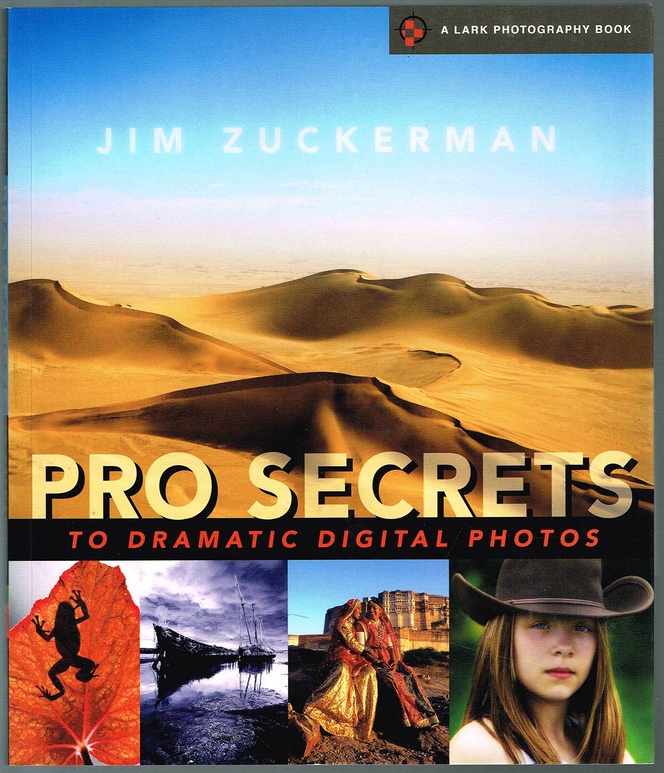 Pro Secrets to Dramatic Digital Photos (A Lark Photography Book) Computer Science
