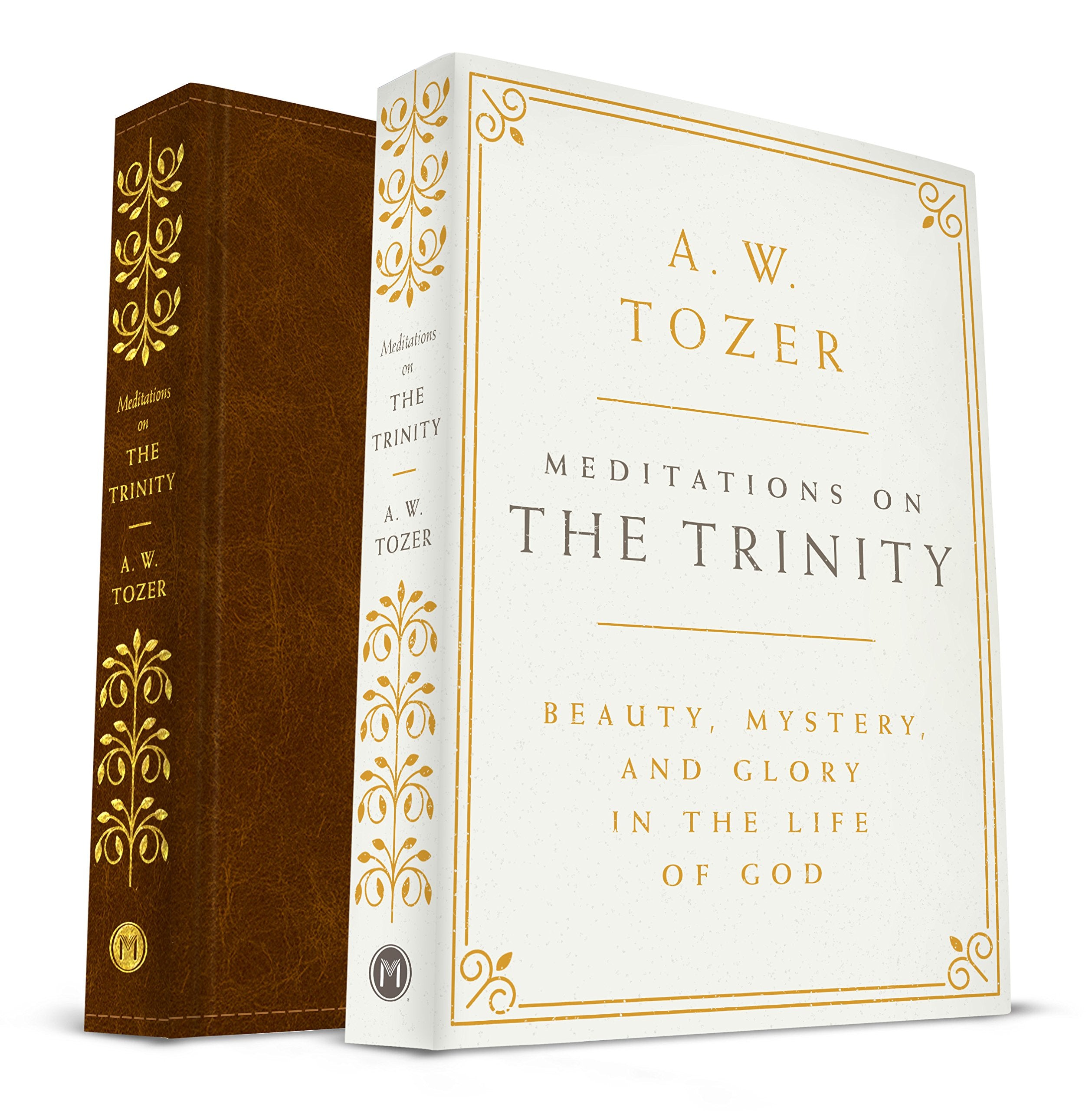 Meditations on the Trinity: Beauty, Mystery, and Glory in the Life of God Religion & Esotericism