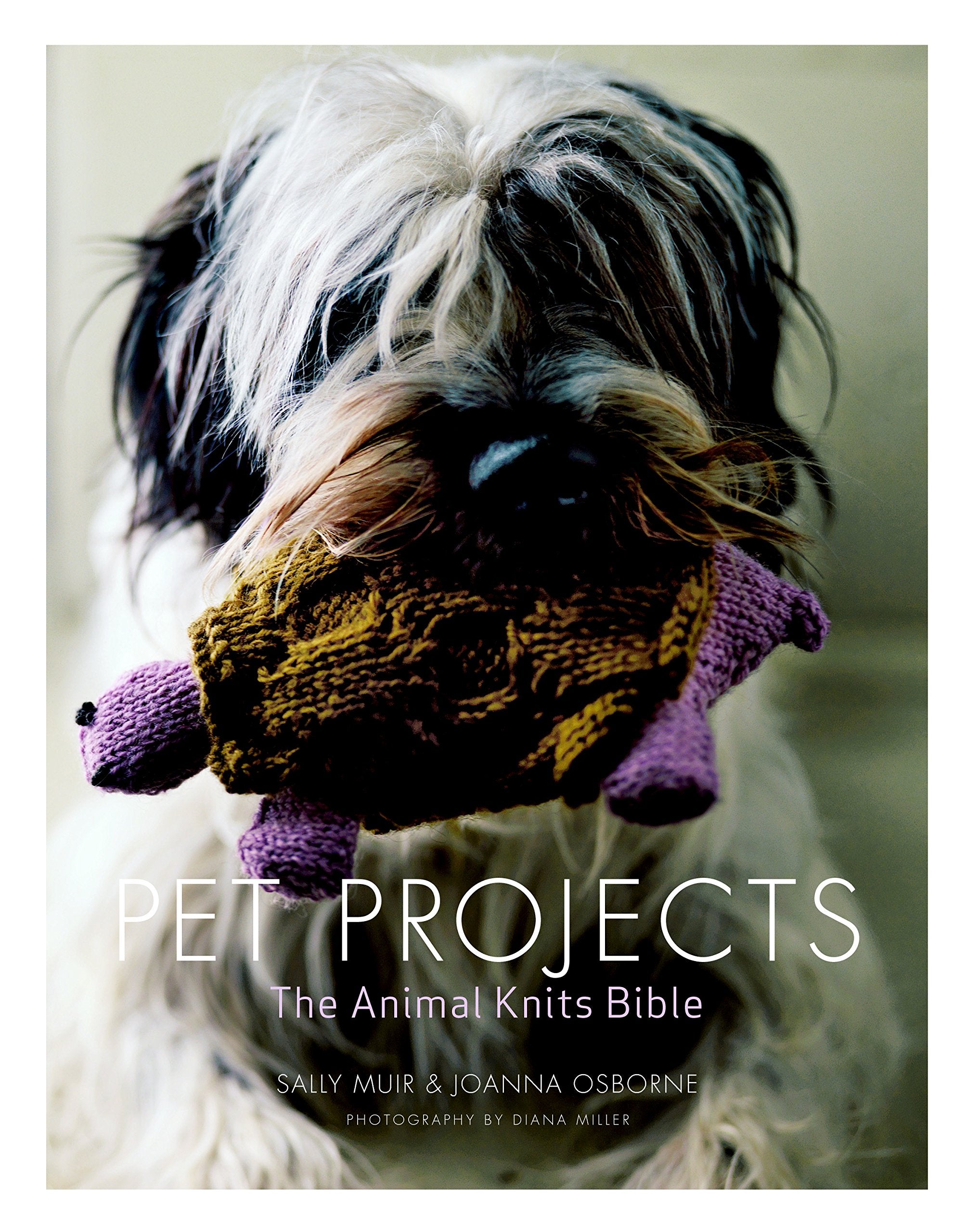 Pet Projects: The Animal Knits Bible Hobbies & Crafts