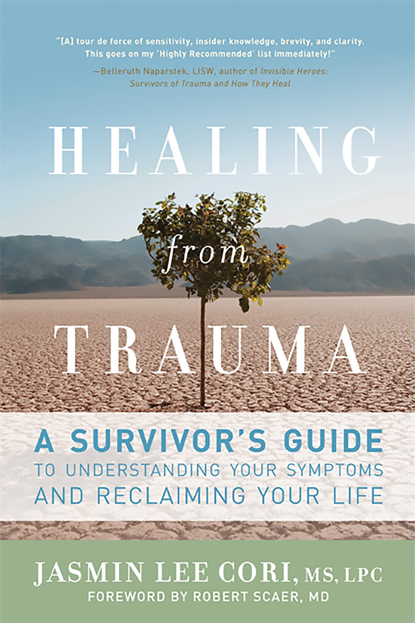 Healing from Trauma: A Survivor's Guide to Understanding Your Symptoms and Reclaiming Your Life Medicine