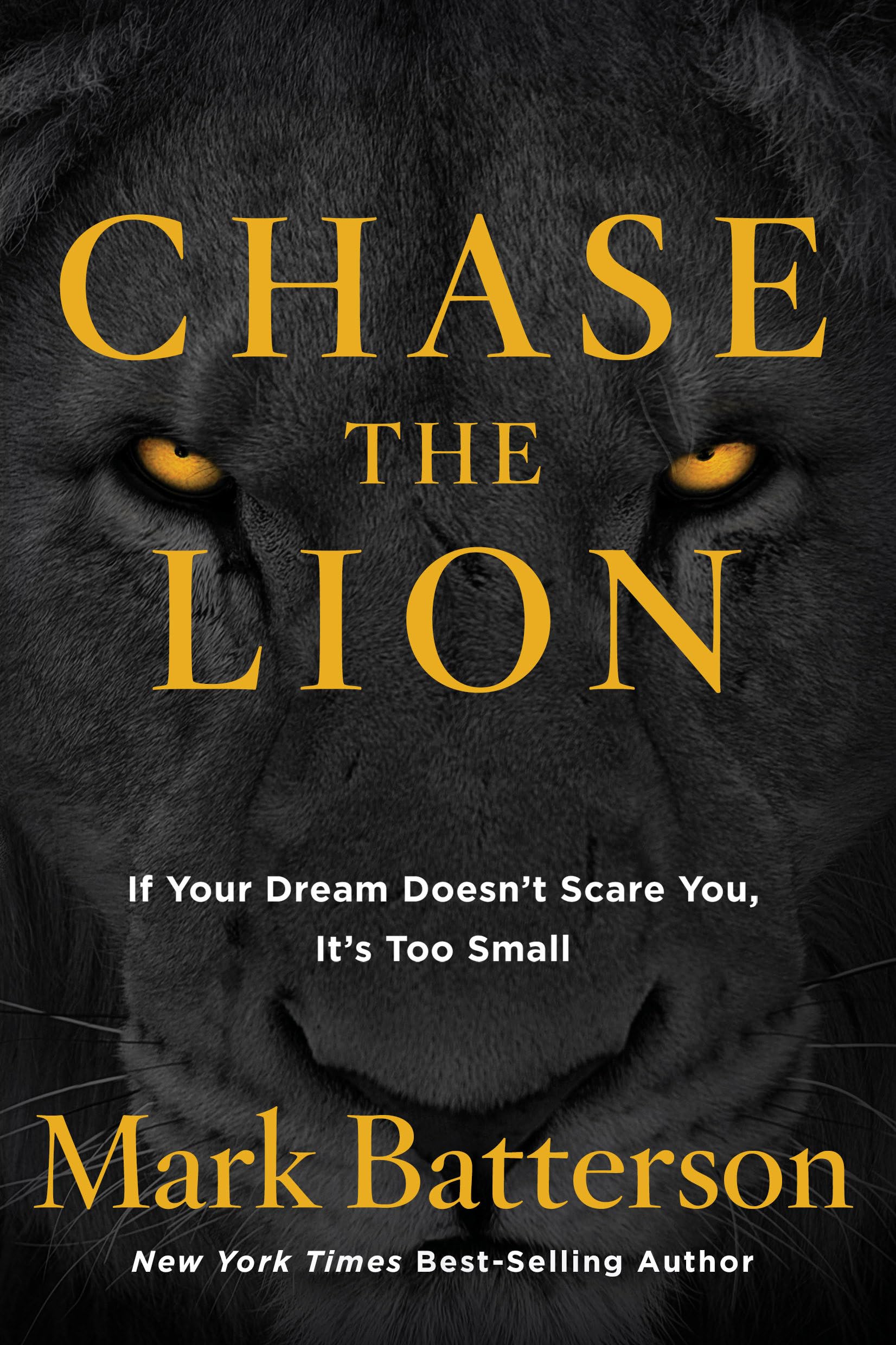 Chase the Lion: If Your Dream Doesn't Scare You, It's Too Small book