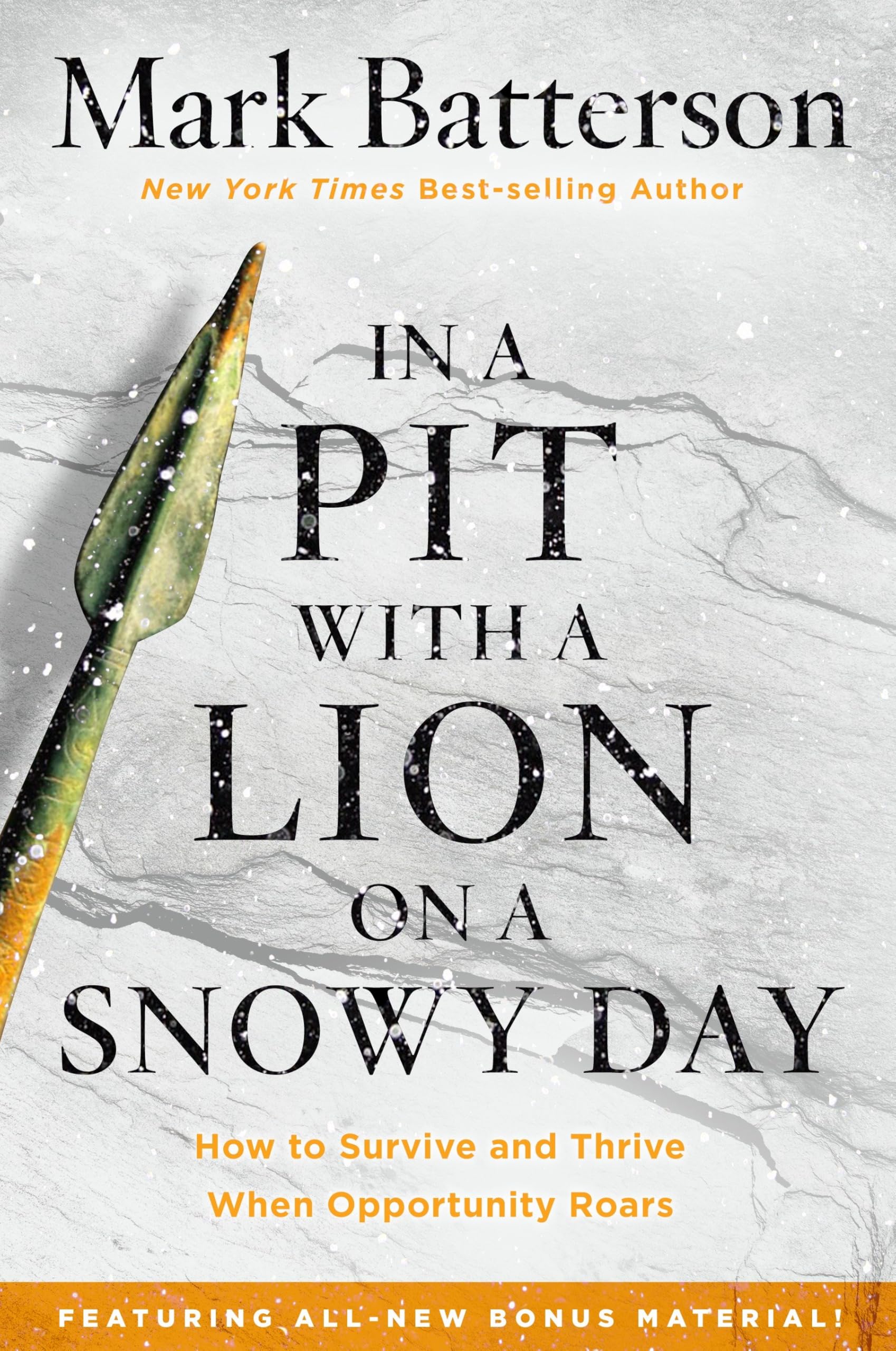 In a Pit with a Lion on a Snowy Day: How to Survive and Thrive When Opportunity Roars Business, Finance & Career